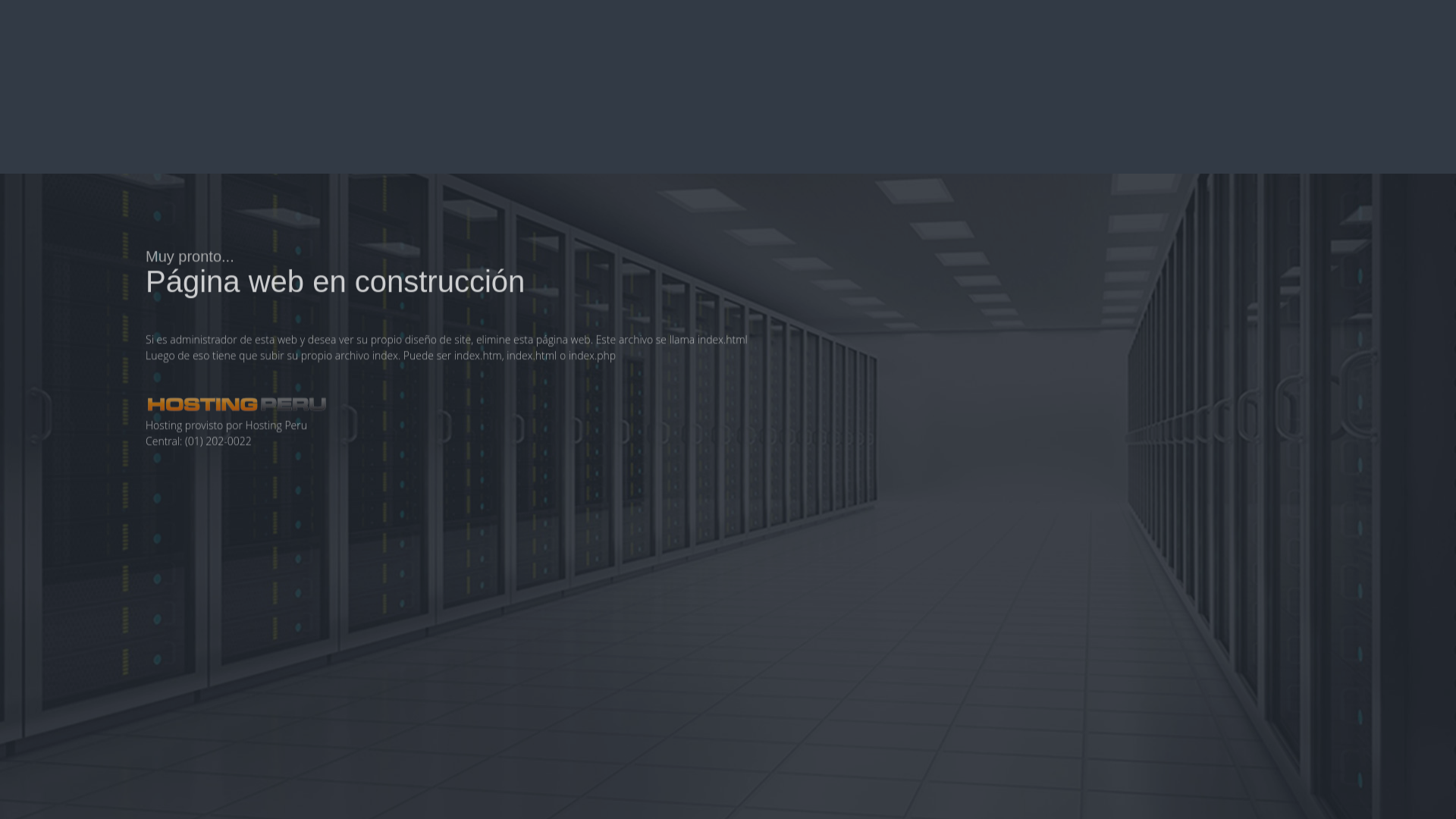 website screenshot of https://navecon.pe/