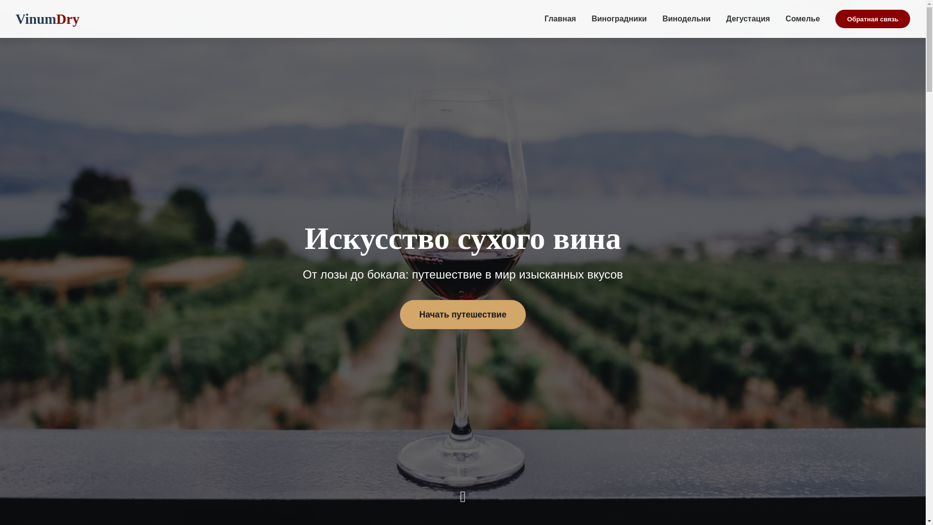 website screenshot of https://vinumdry.ru/
