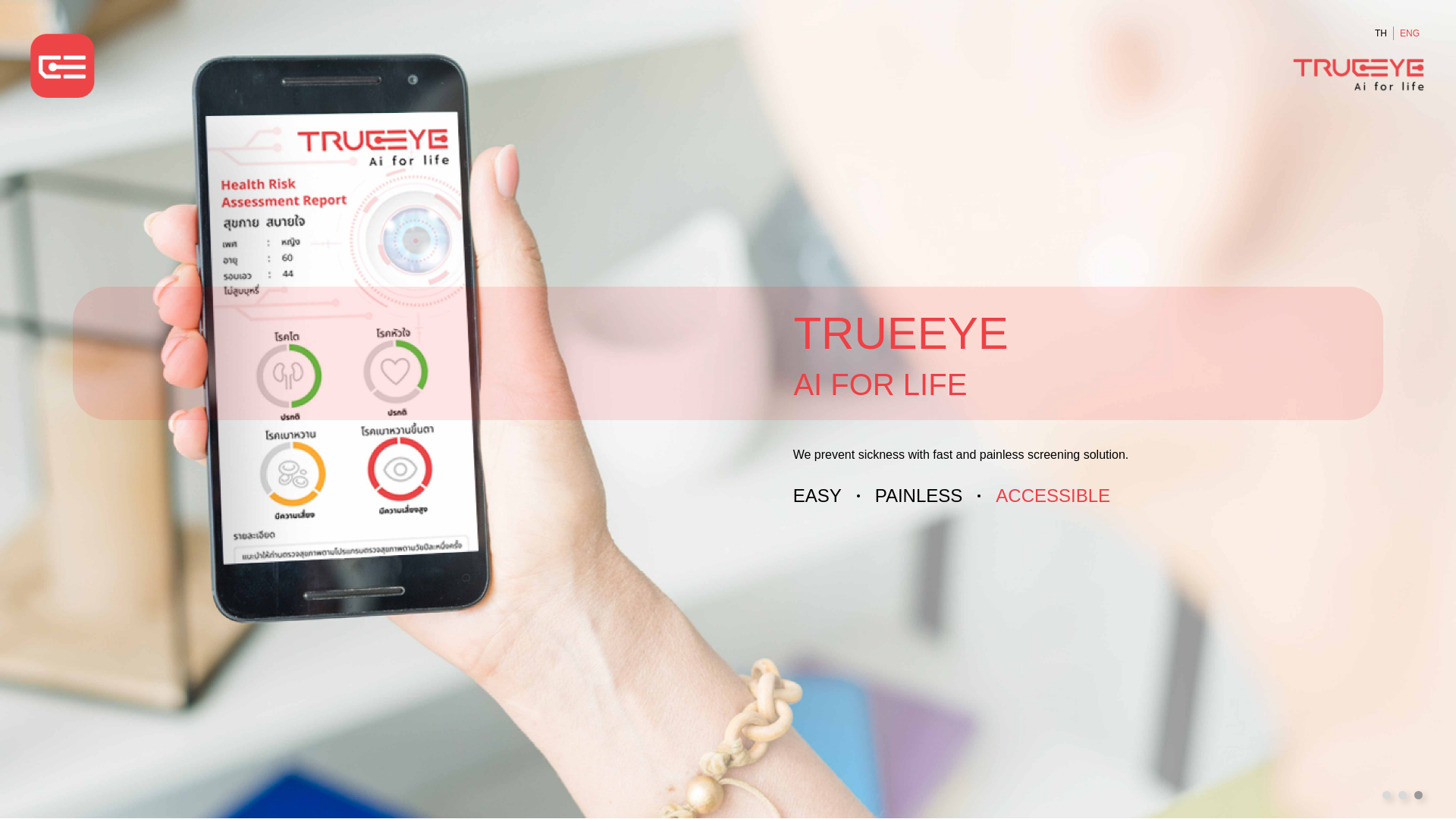 website screenshot of http://trueeye.co/