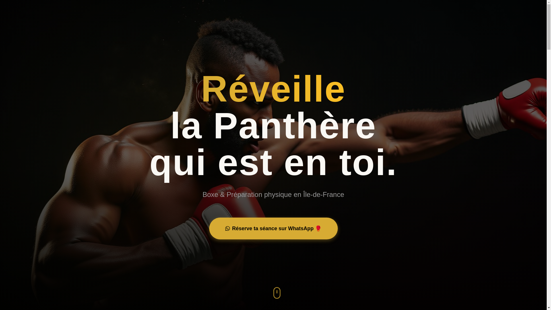 website screenshot of https://panthere-remy.com/