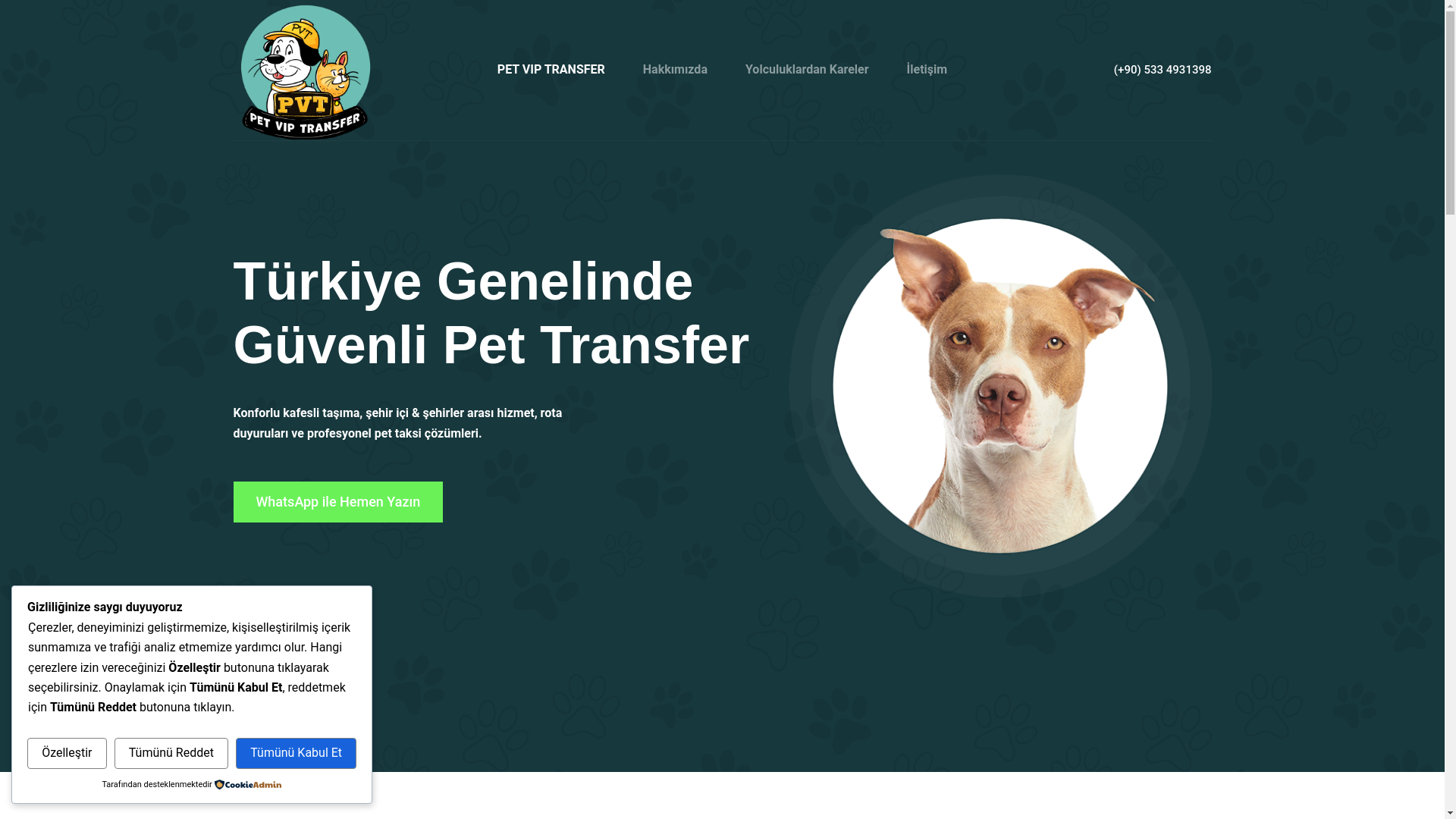 website screenshot of https://petviptransfer.com/
