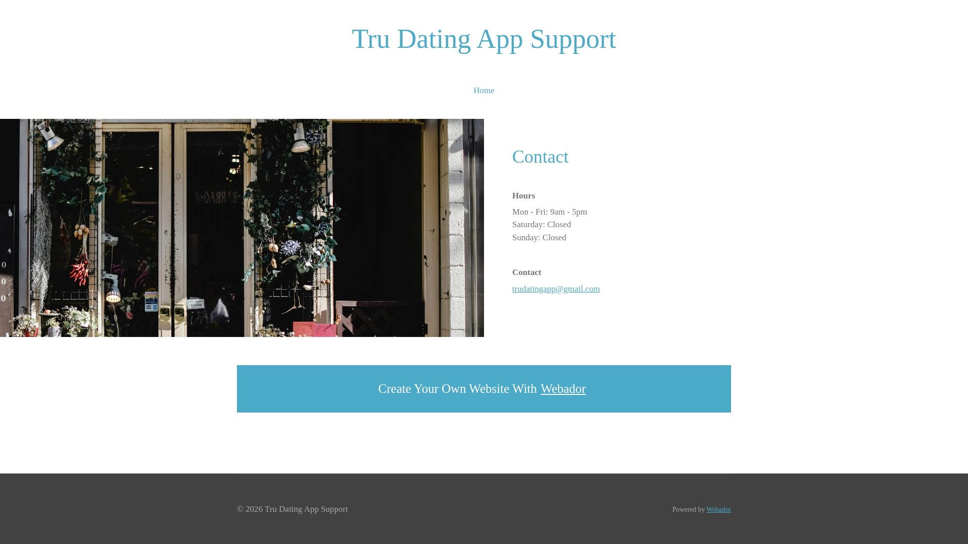 website screenshot of https://trudatingappsupport.com/