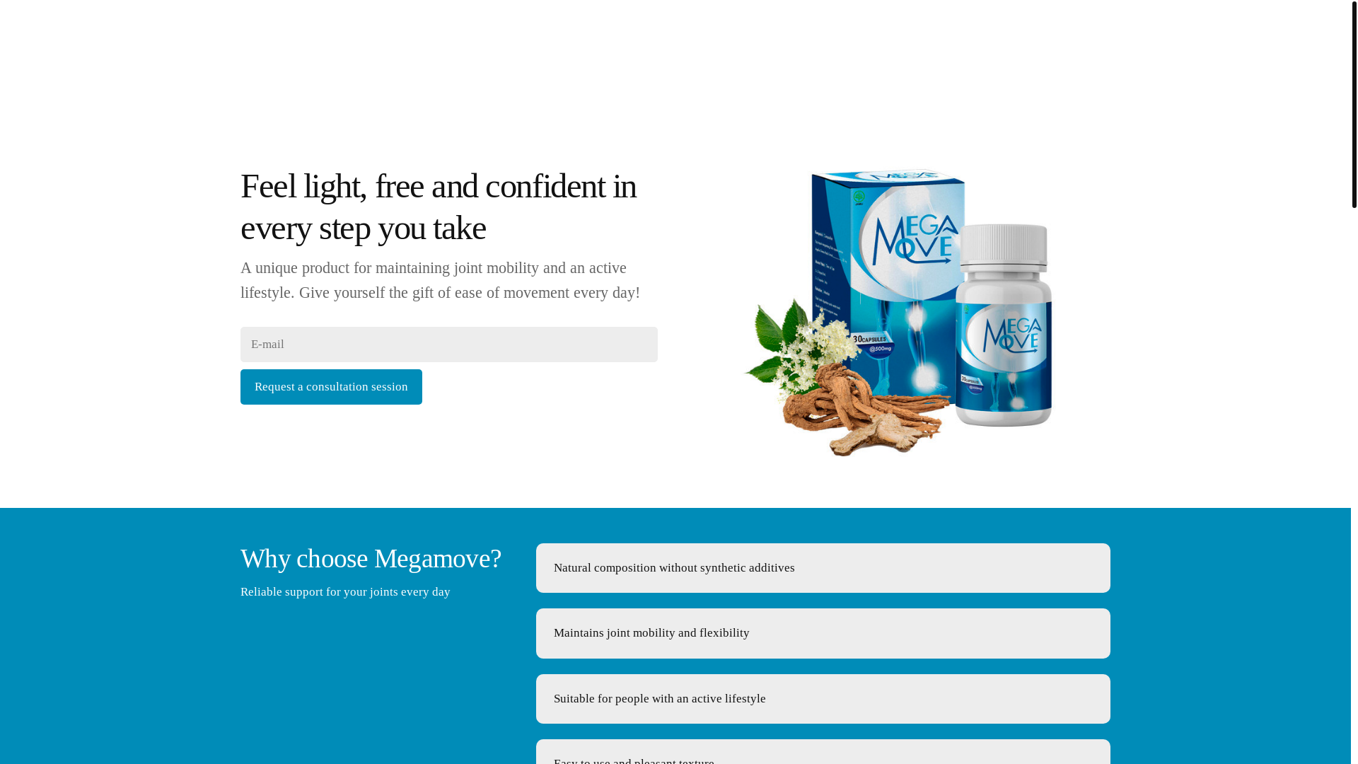 website screenshot of https://flexmovepremium.com/