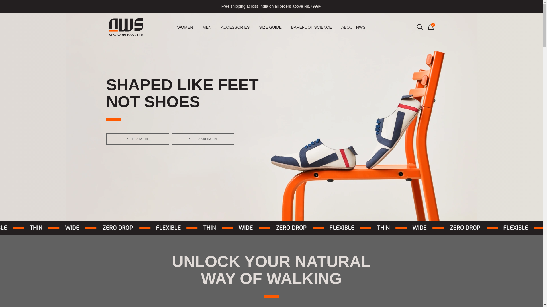 website screenshot of https://newworldsystem.org/