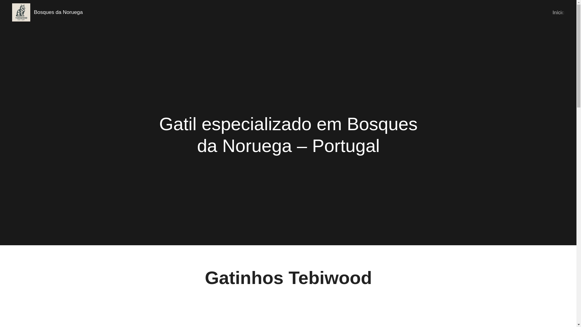 website screenshot of https://tebiwoodbosquesdanoruega.pt/