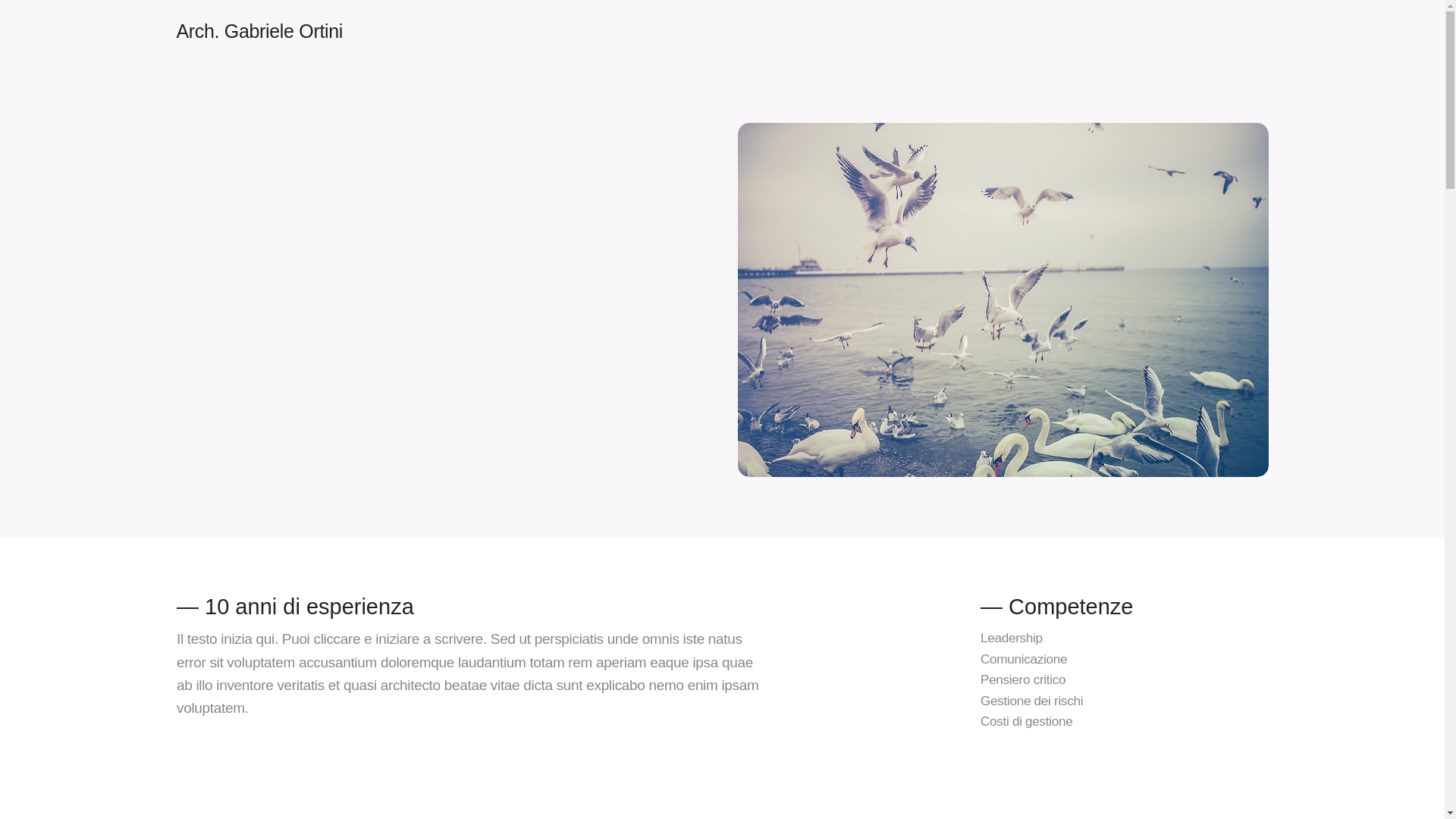 website screenshot of https://gabriele-ortini.it/