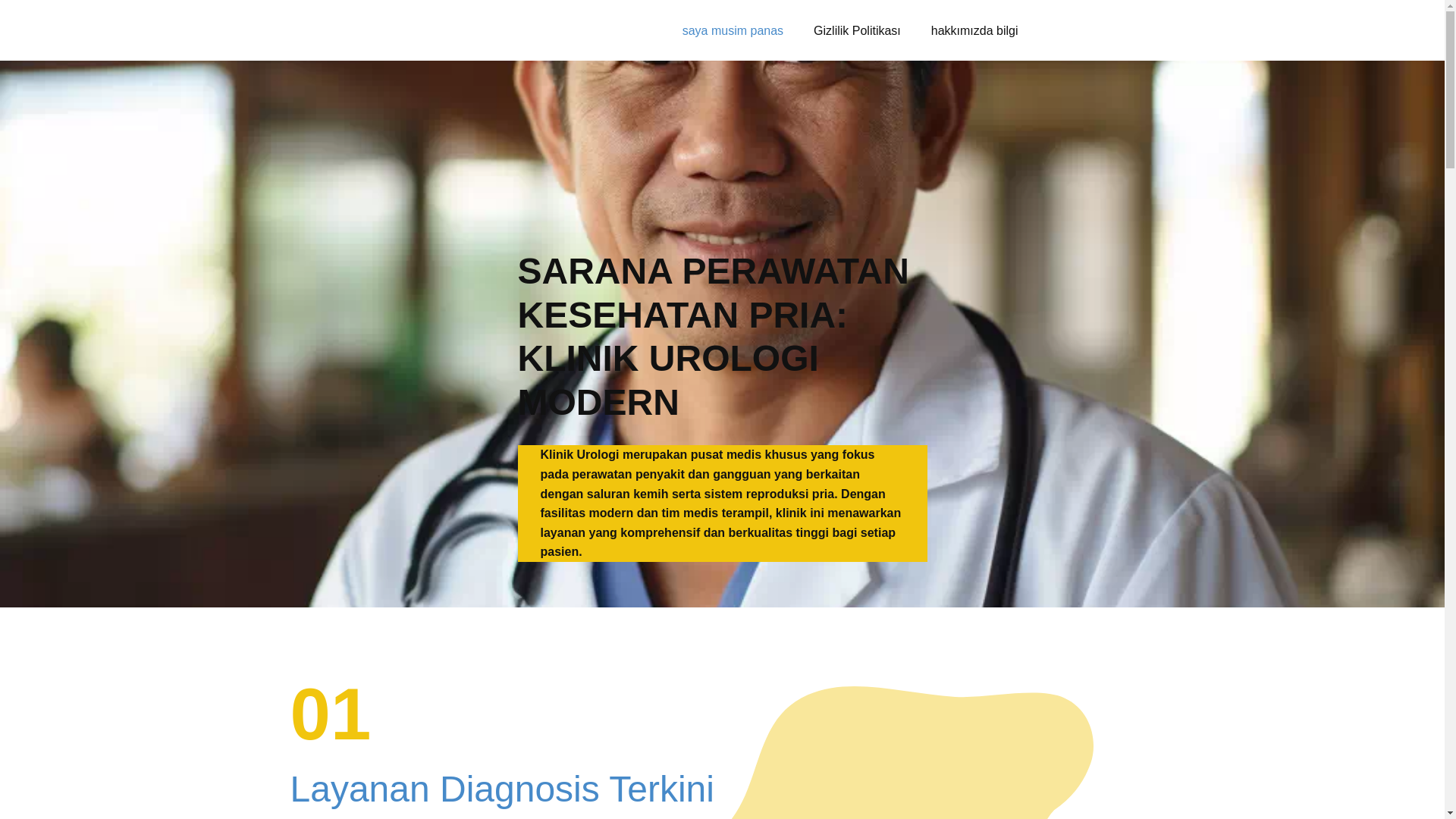 website screenshot of https://idewifako.shop/