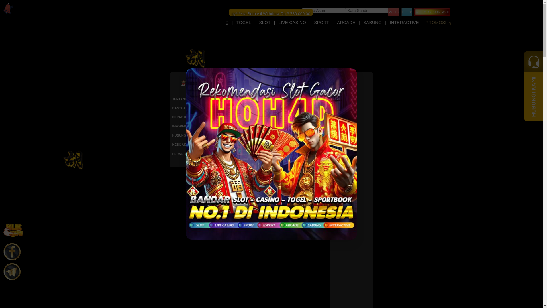 website screenshot of https://hohbermain.com/