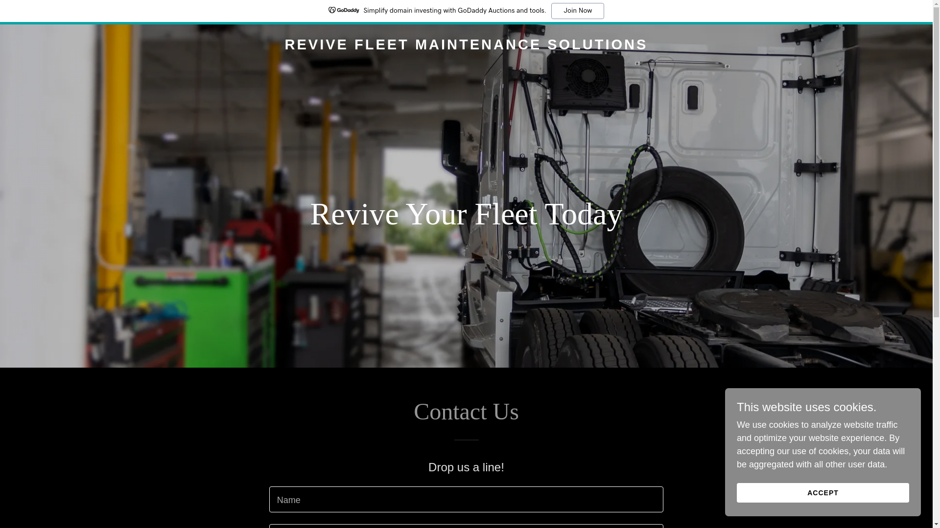 website screenshot of https://revivefleet.com/
