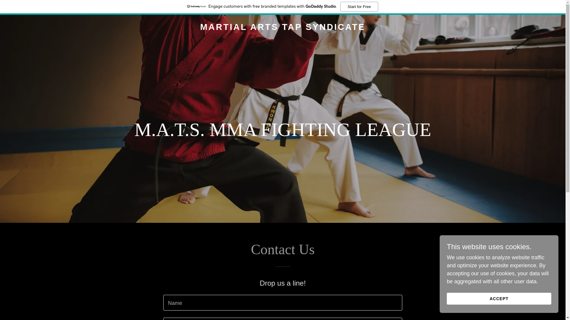 website screenshot of https://martialartstapsyndicate.com/