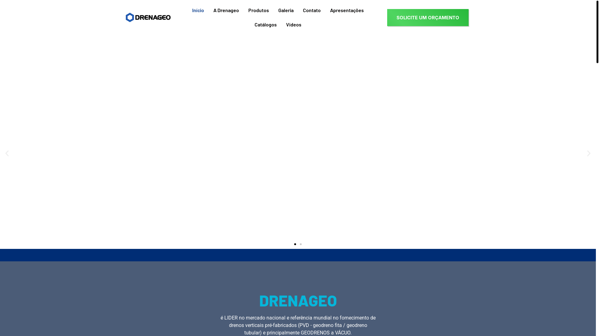 website screenshot of https://geodrenovertical.com.br/