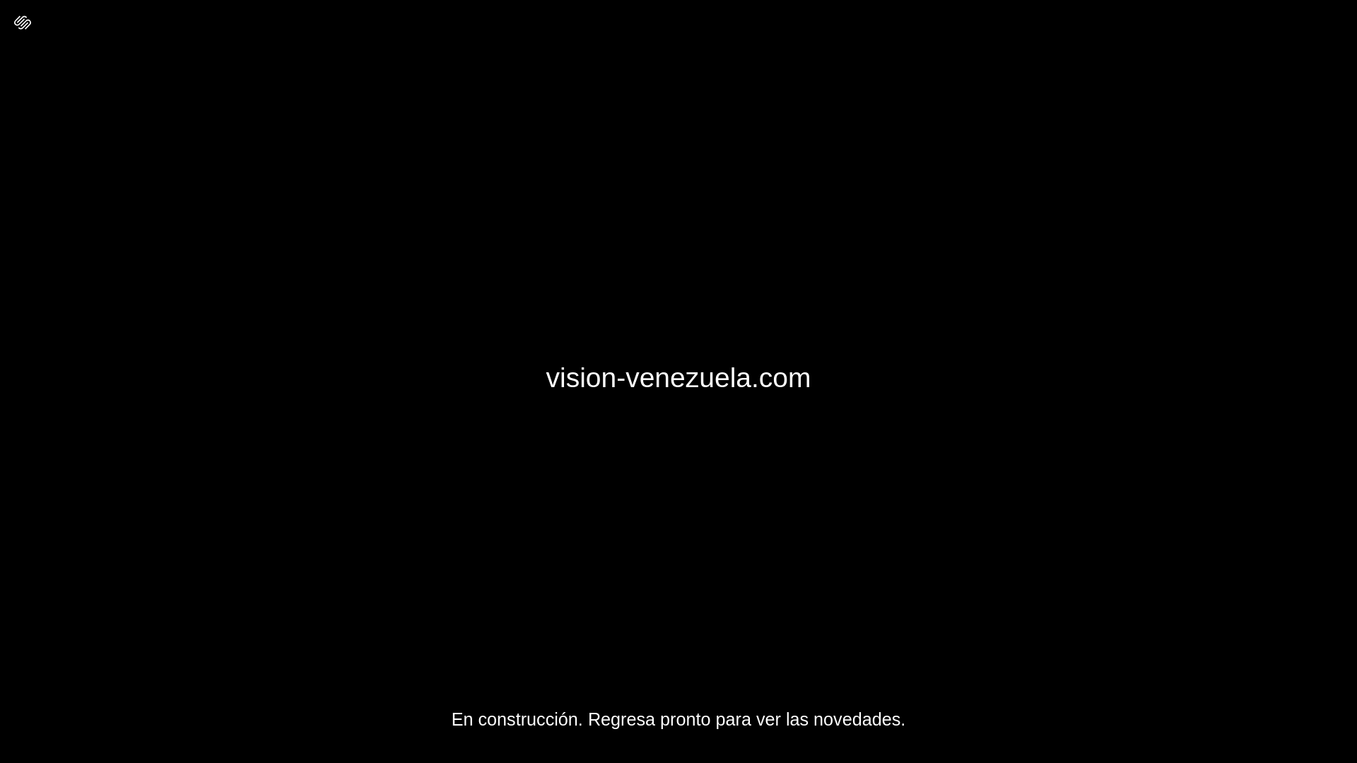 website screenshot of https://vision-venezuela.com/