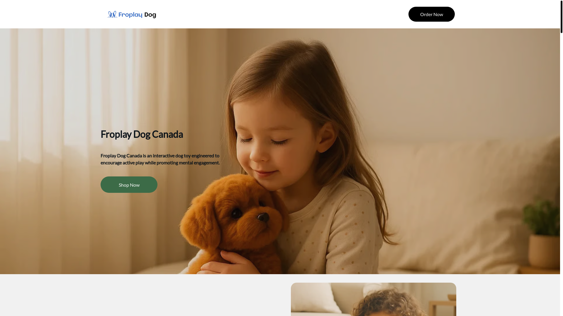 website screenshot of https://froplaydog.ca/