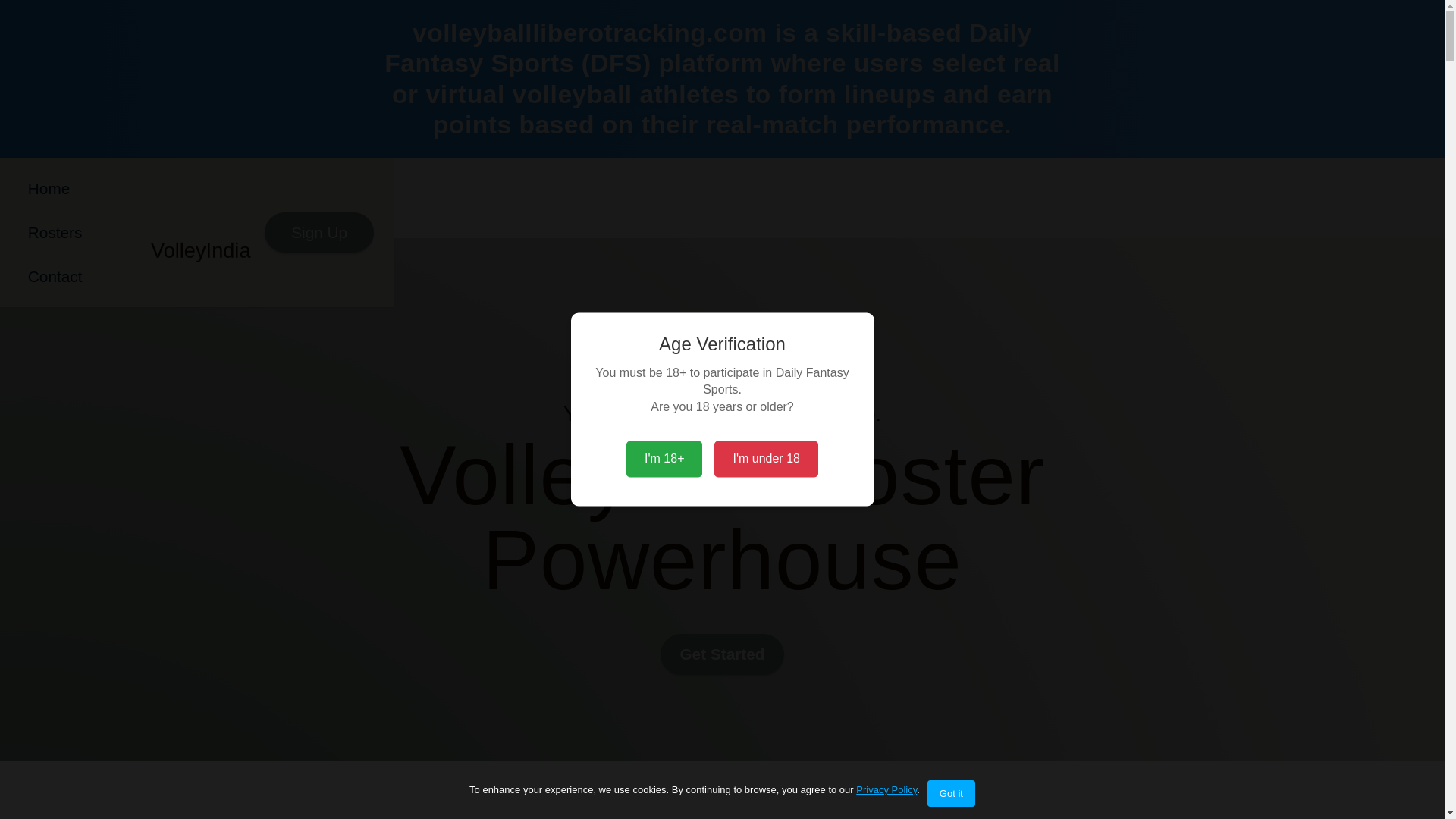 website screenshot of https://volleyballliberotracking.com/