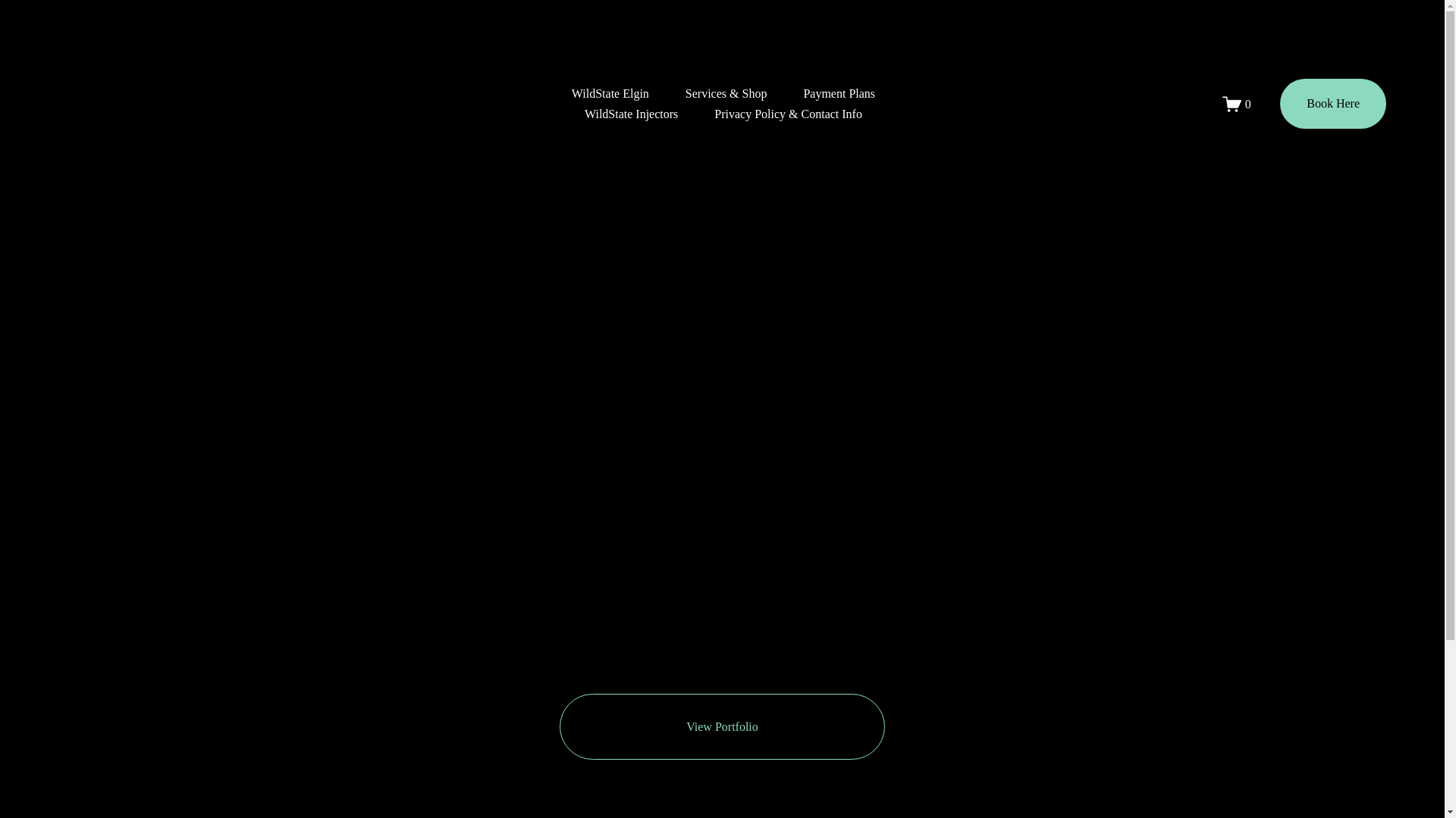 website screenshot of https://sevynelgin.com/