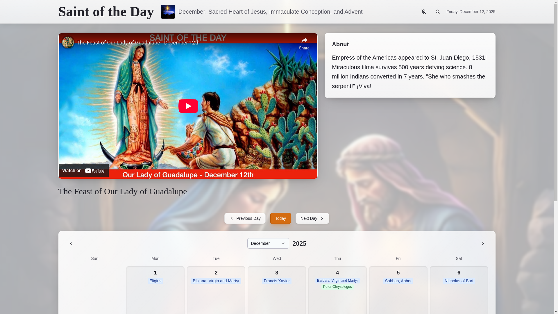 website screenshot of https://dailycatholicsaint.com/
