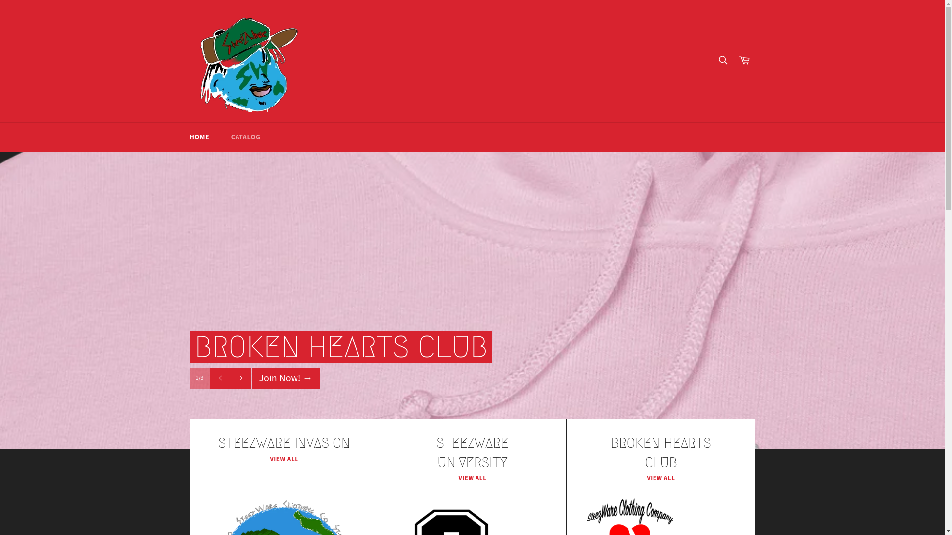 website screenshot of https://wehavesteez.com/