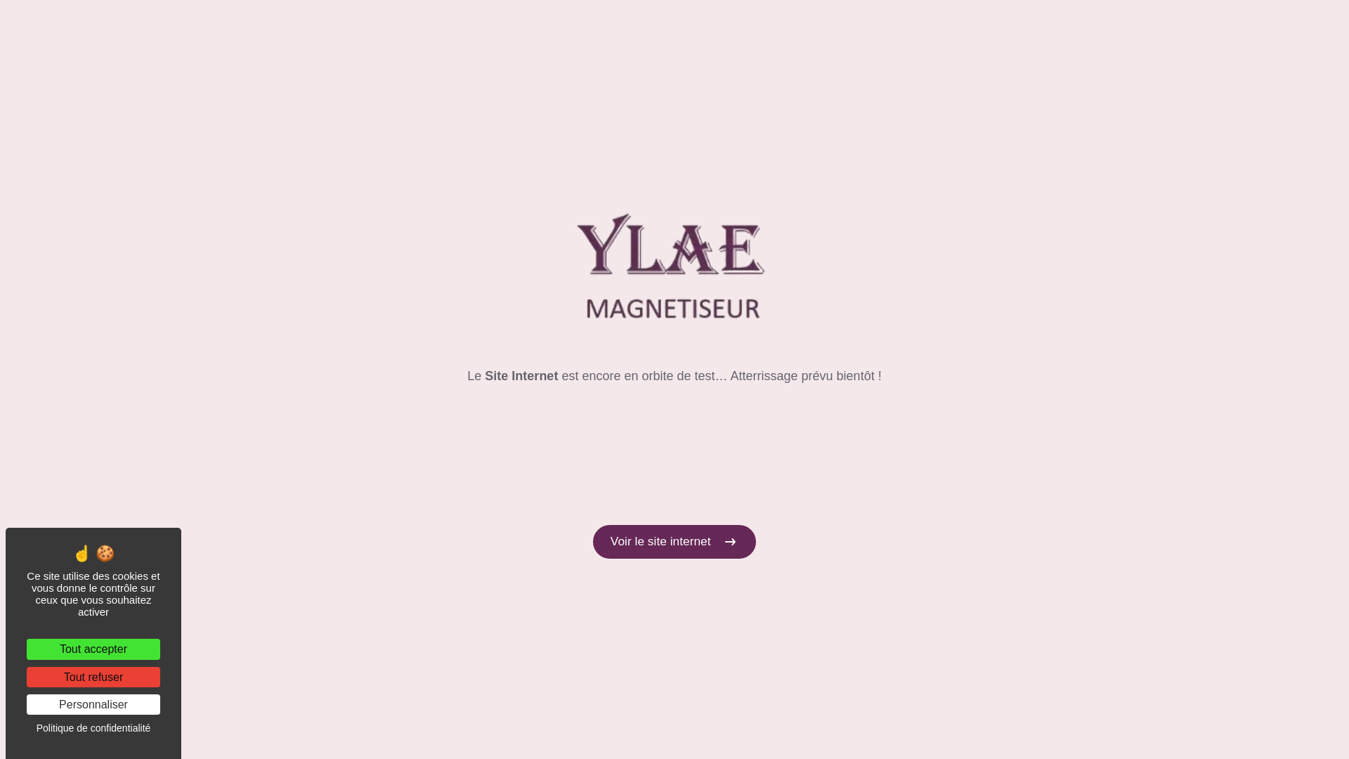 website screenshot of https://ylae-magnetisme-bienetre.fr/