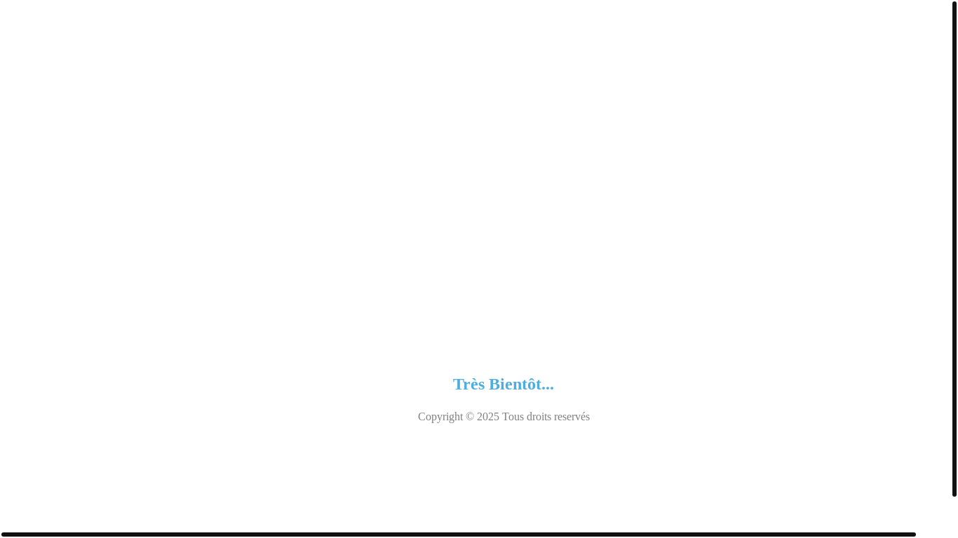 website screenshot of https://artemisglobal.fr/