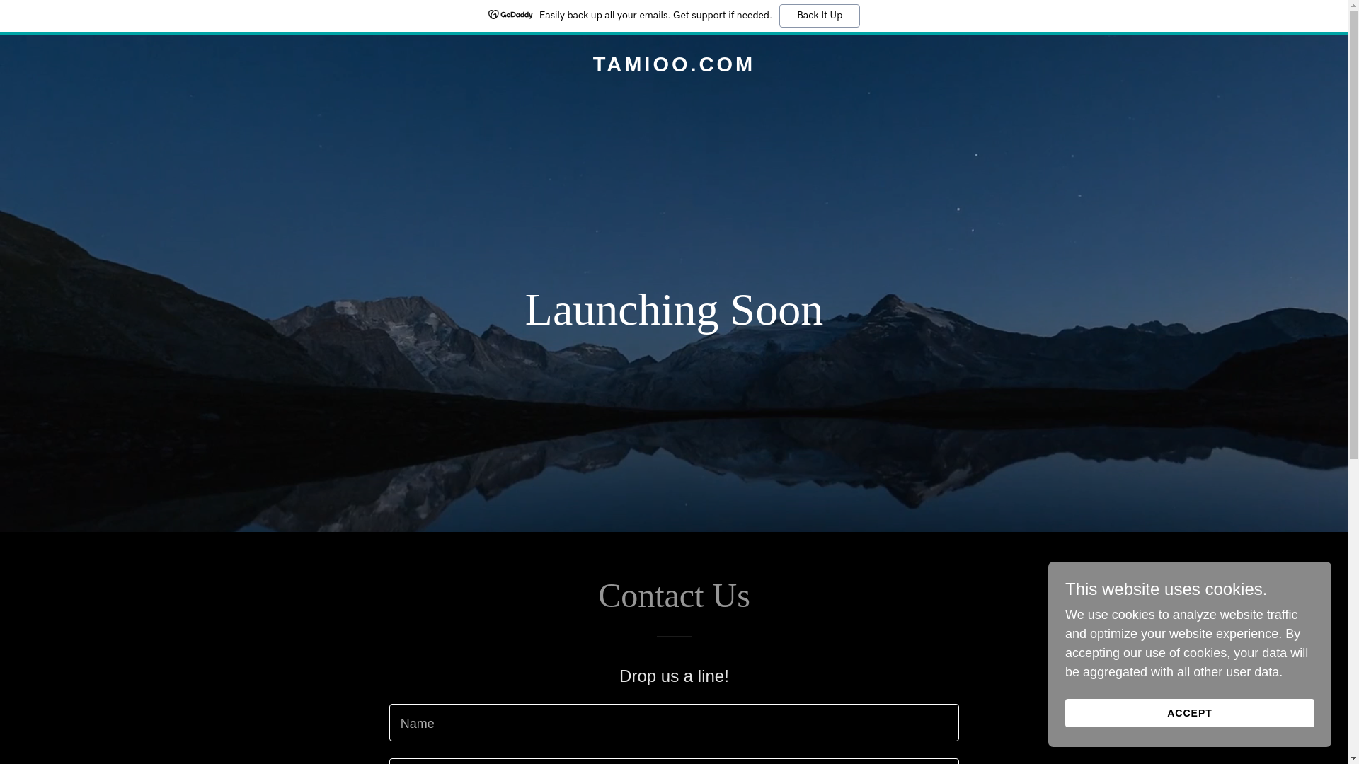 website screenshot of https://tamioo.com/