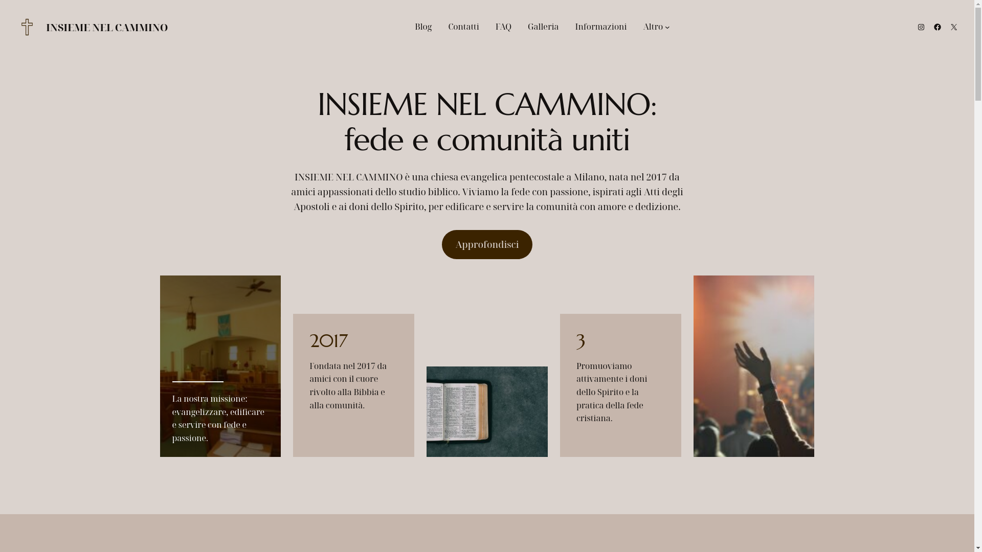 website screenshot of https://insiemenelcammino.org/