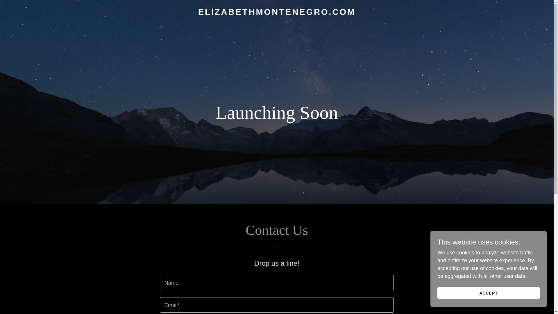 website screenshot of https://elizabethmontenegro.com/