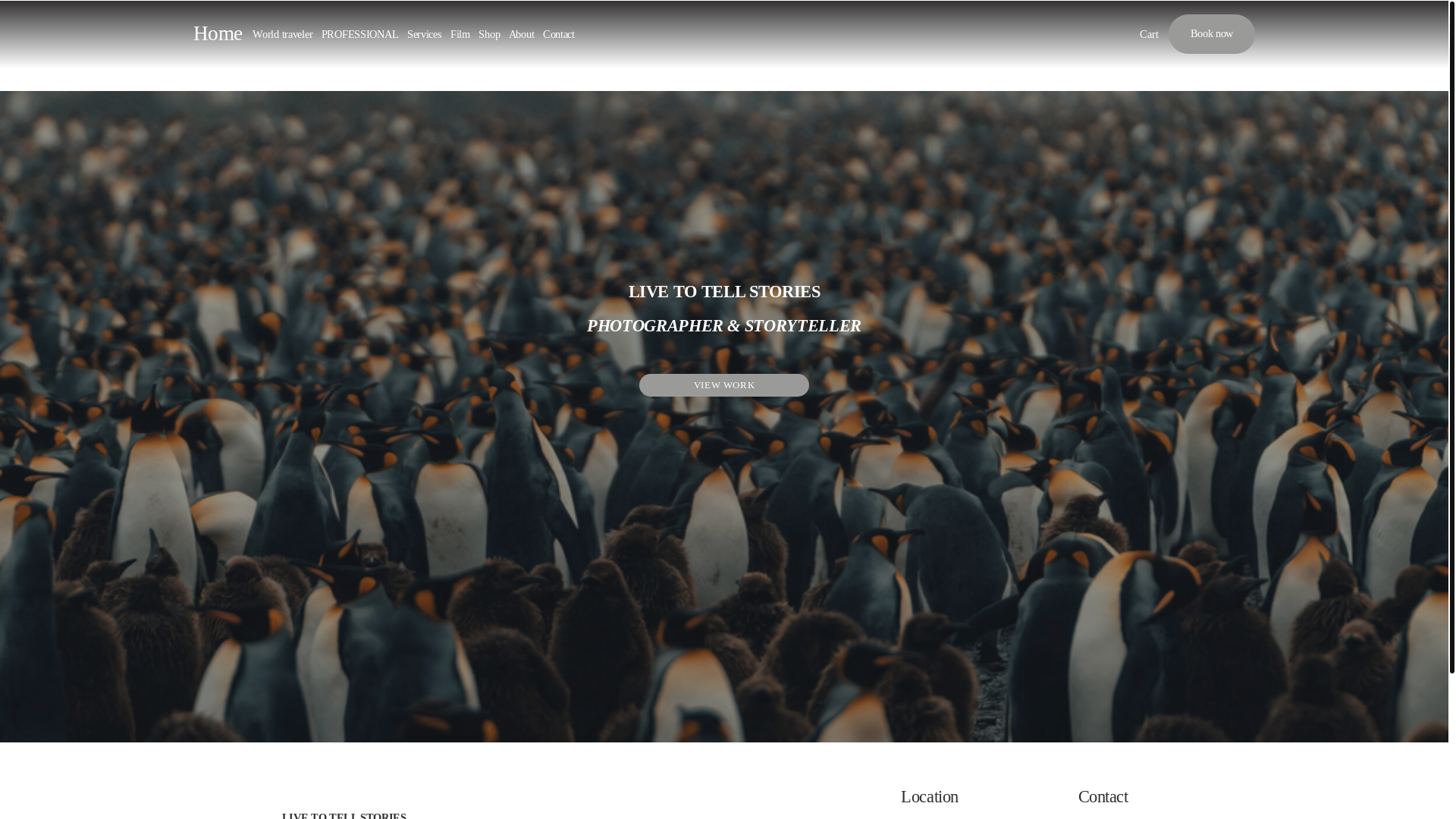 website screenshot of https://chaserhive.com/