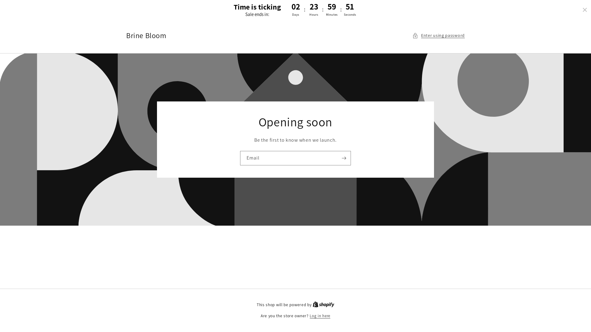 website screenshot of https://brinebloom.store/