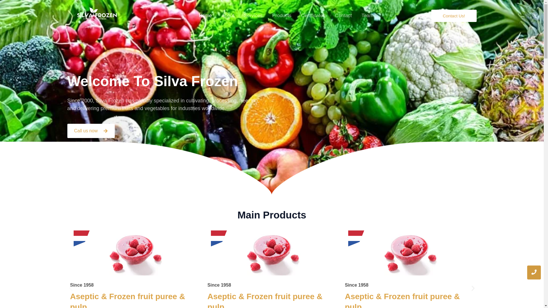 website screenshot of https://silva-frozen.com/