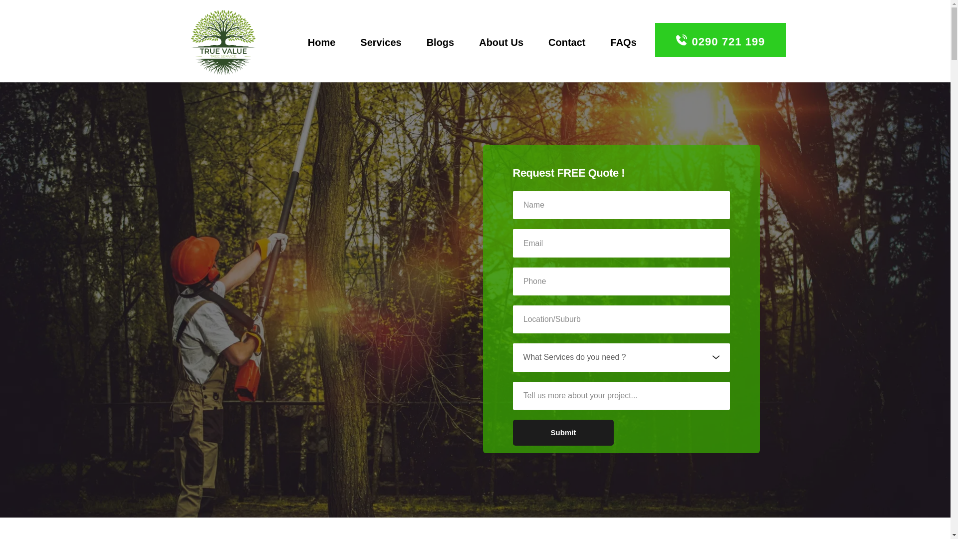 website screenshot of https://truevaluetreeservice.online/