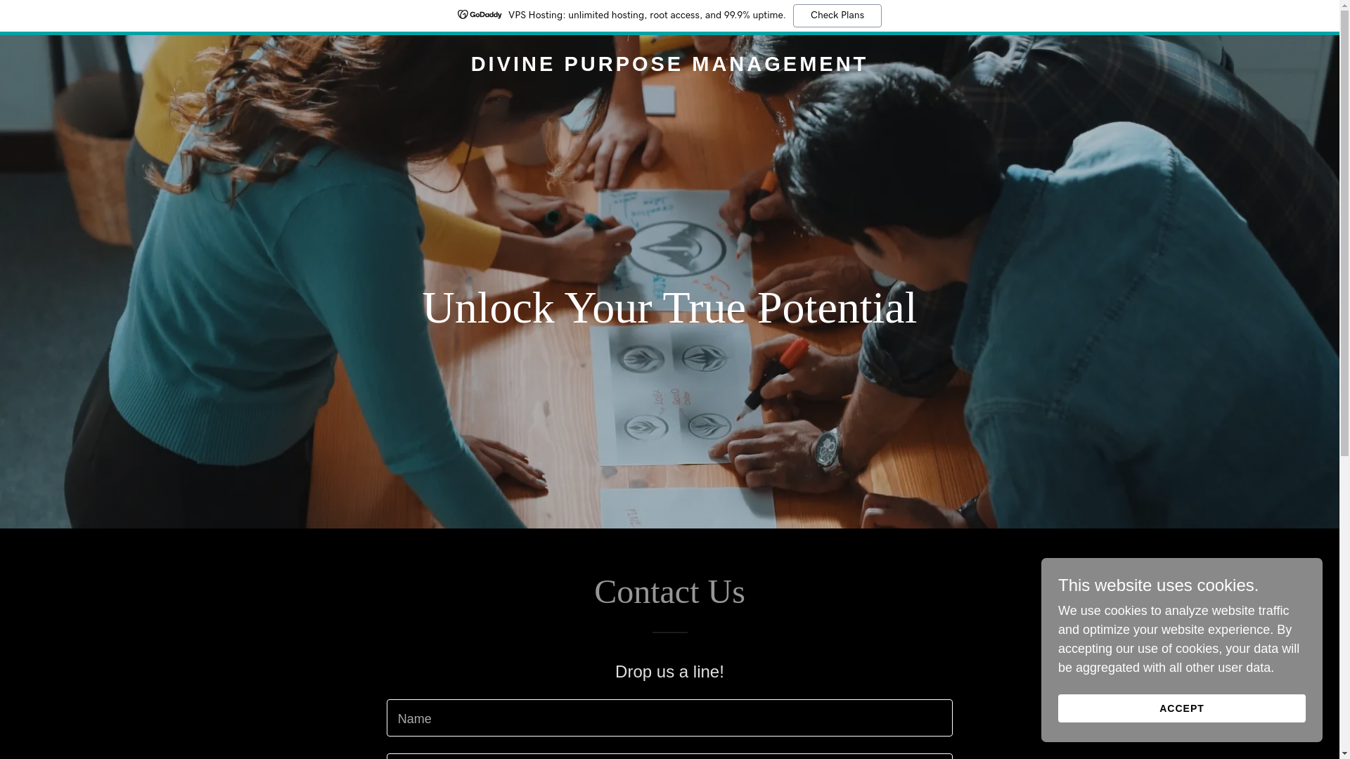 website screenshot of https://divinepurposemgmt.com/