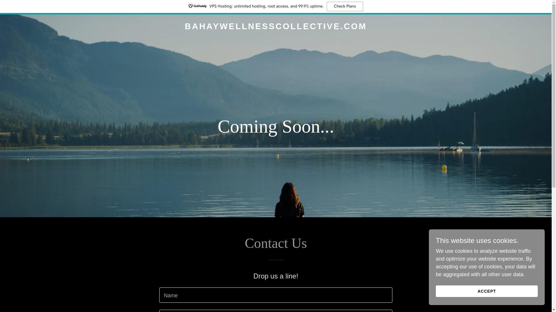 website screenshot of https://bahaywellnesscollective.org/