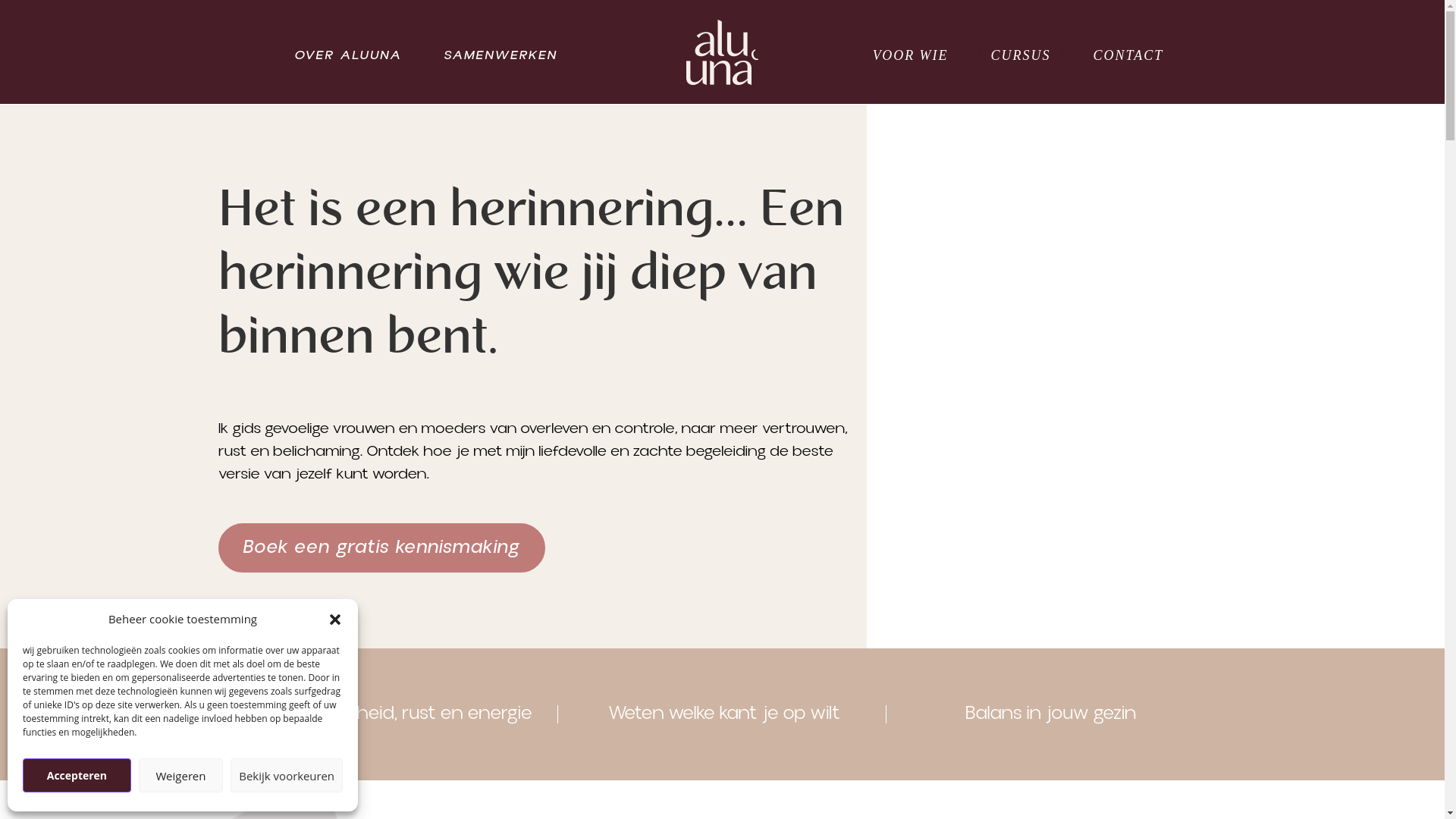 website screenshot of https://aluuna.nl/