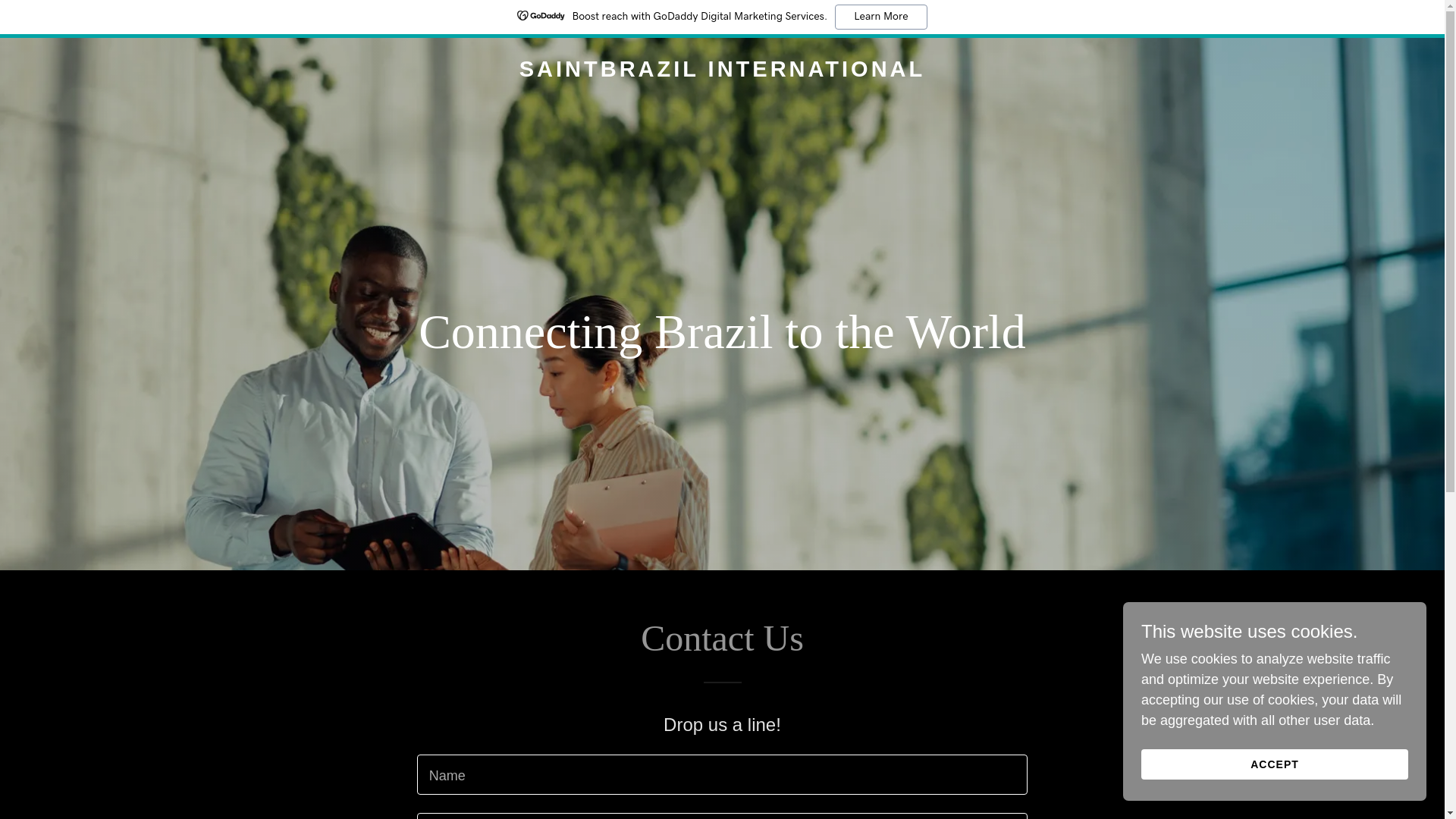 website screenshot of https://saintbrazil.com/