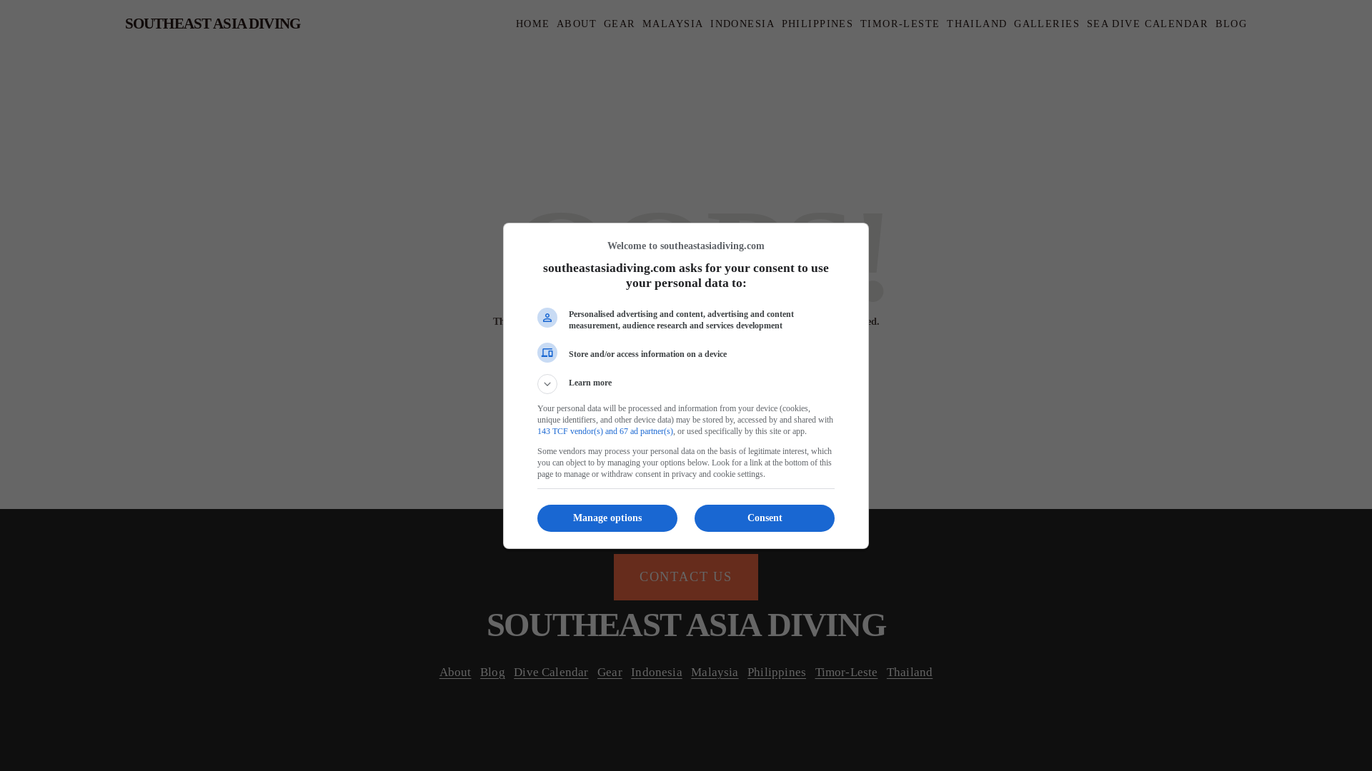 website screenshot of https://southeastasiadiving.com/s/ads txt file.txt