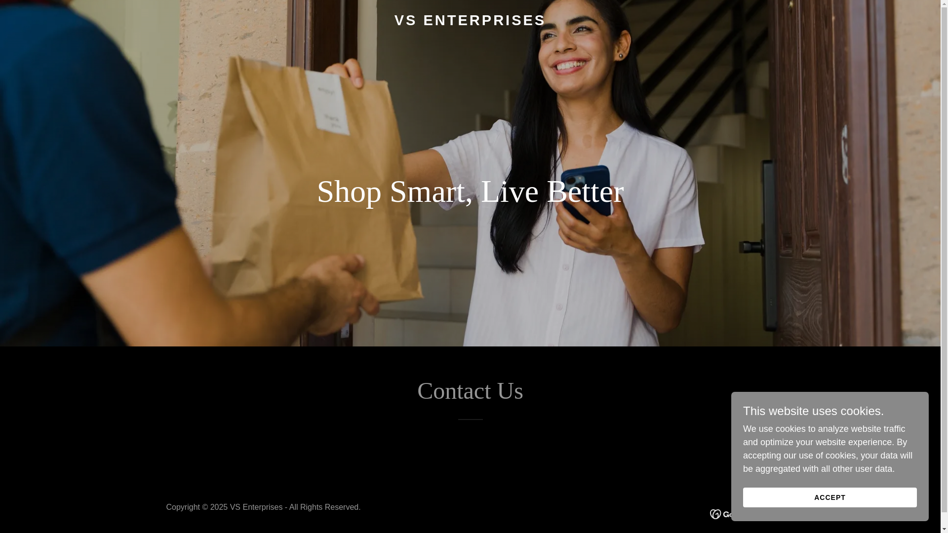 website screenshot of https://vsenterprises.xyz/