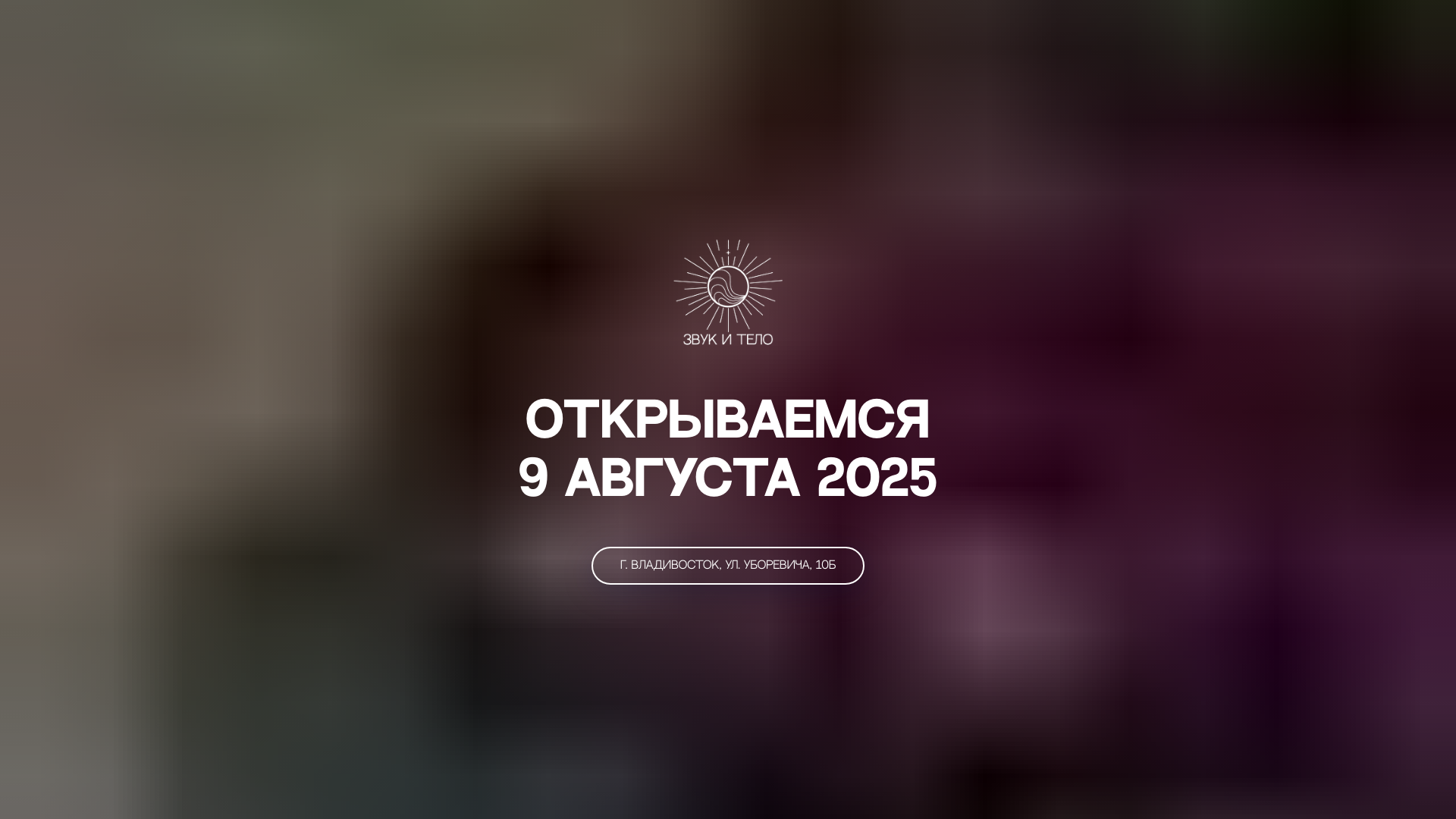 website screenshot of https://soundbody-vl.ru/
