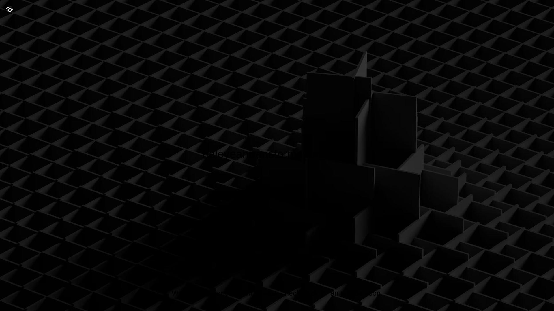 website screenshot of https://haleyeahtransformations.com/