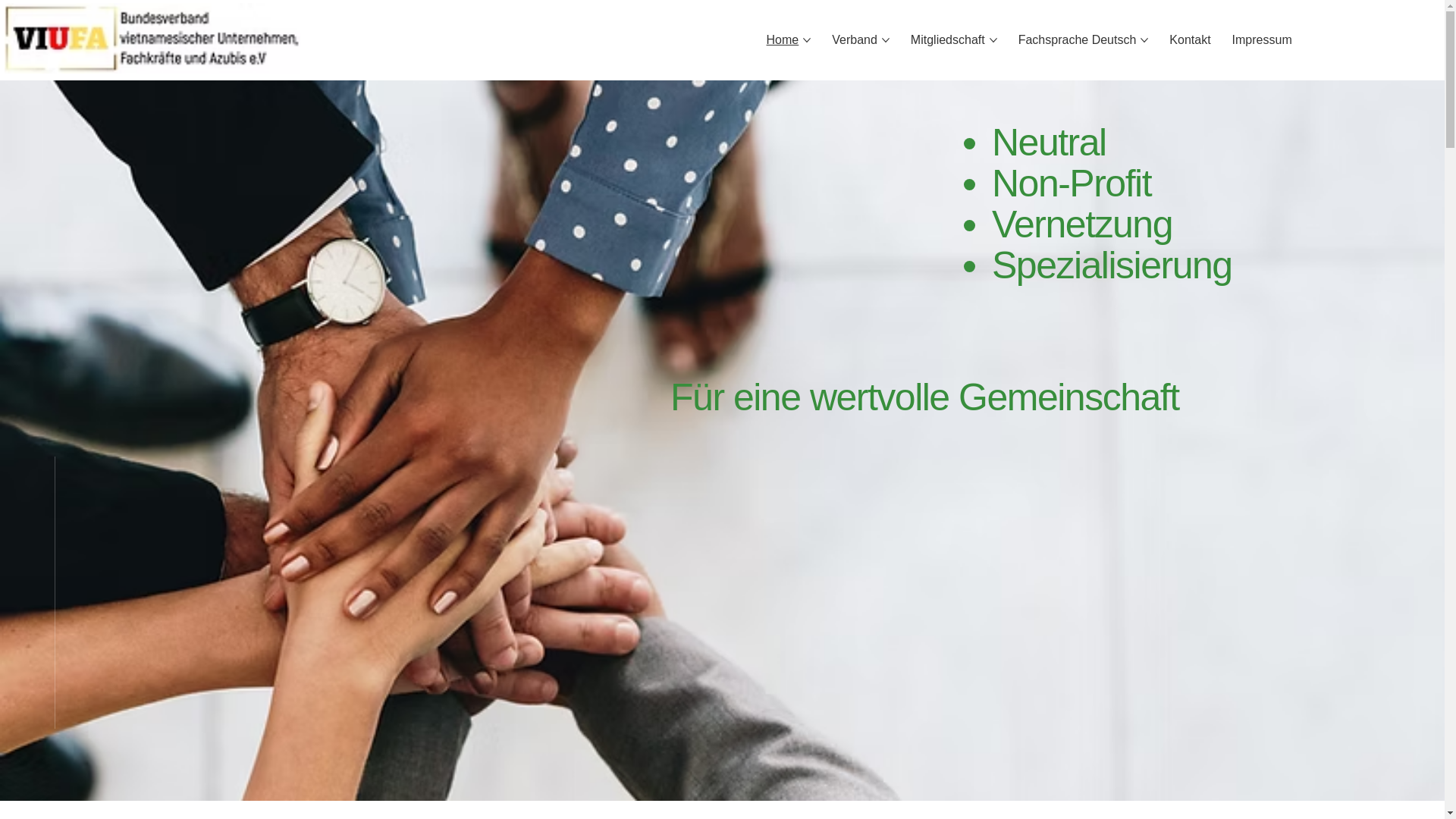website screenshot of https://viufa.de/