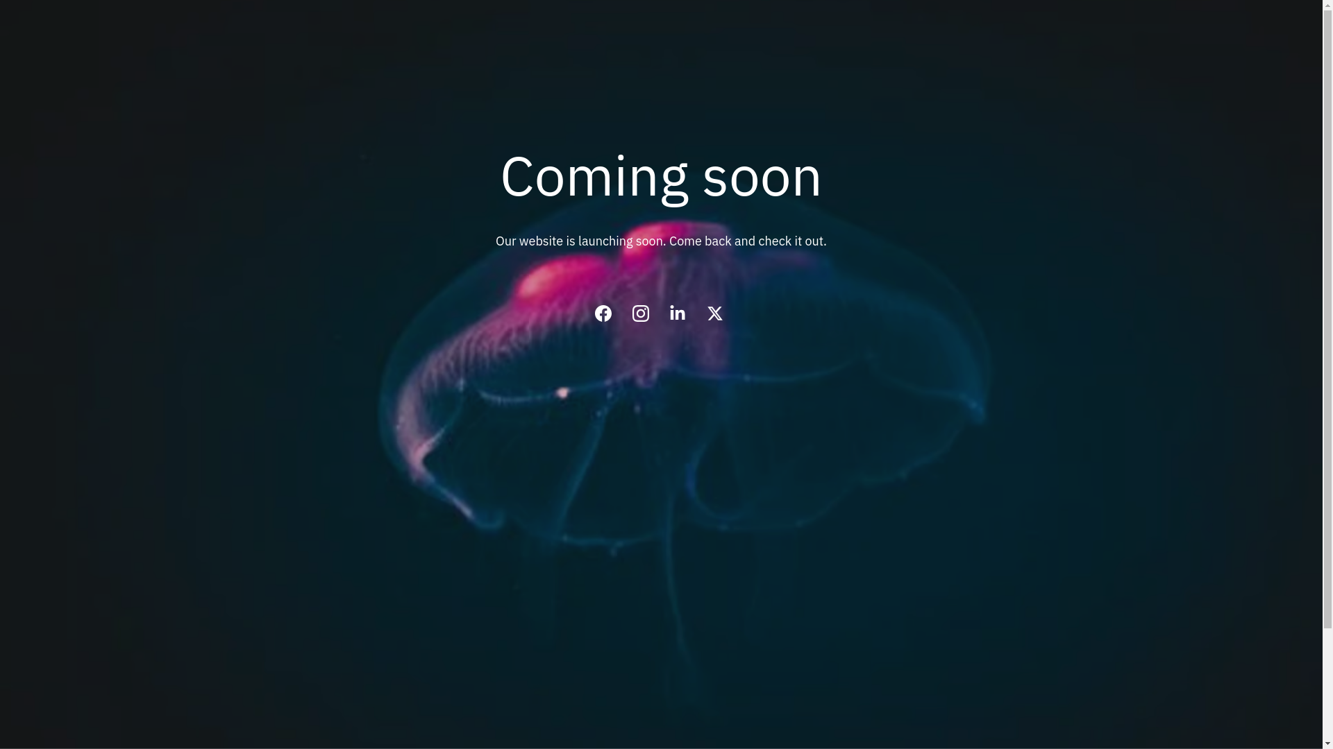 website screenshot of https://bellstrikersystems.com/