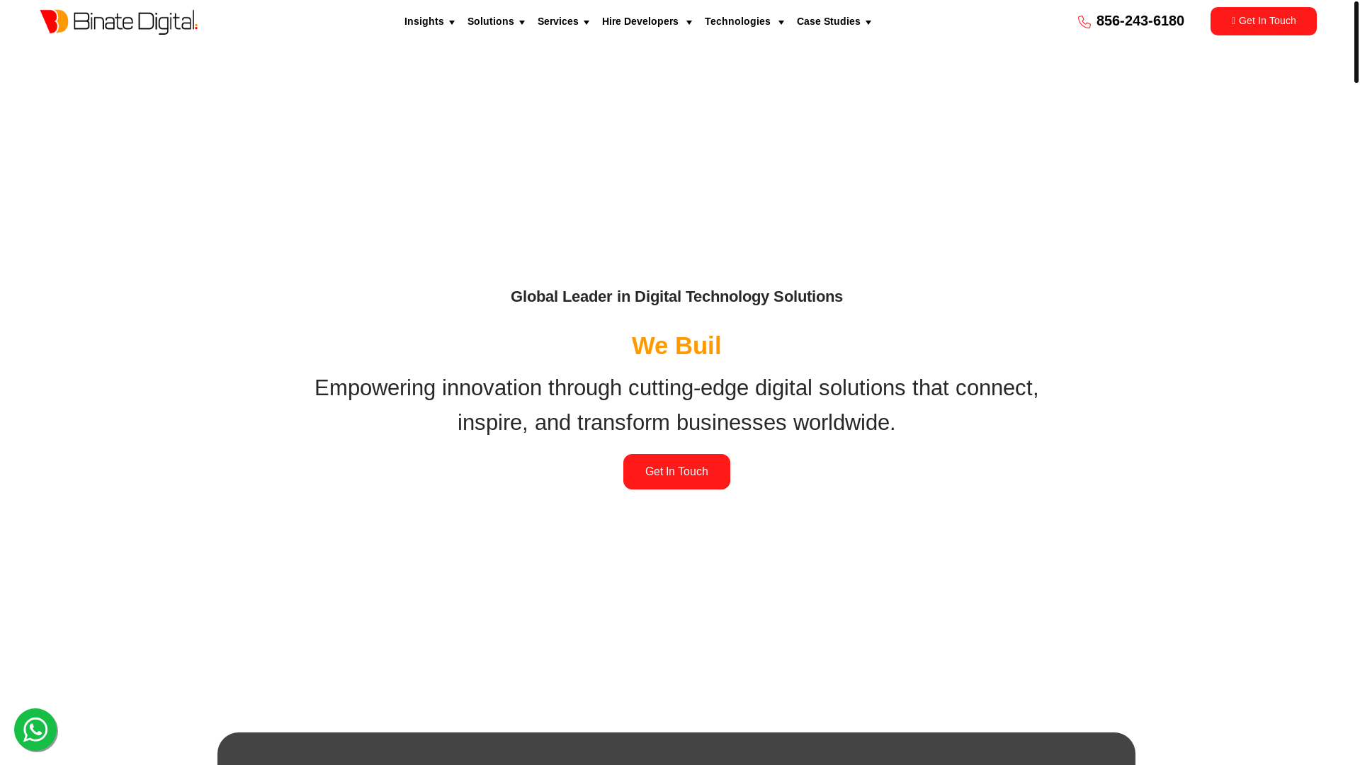 website screenshot of https://binatedigitalpk.com/