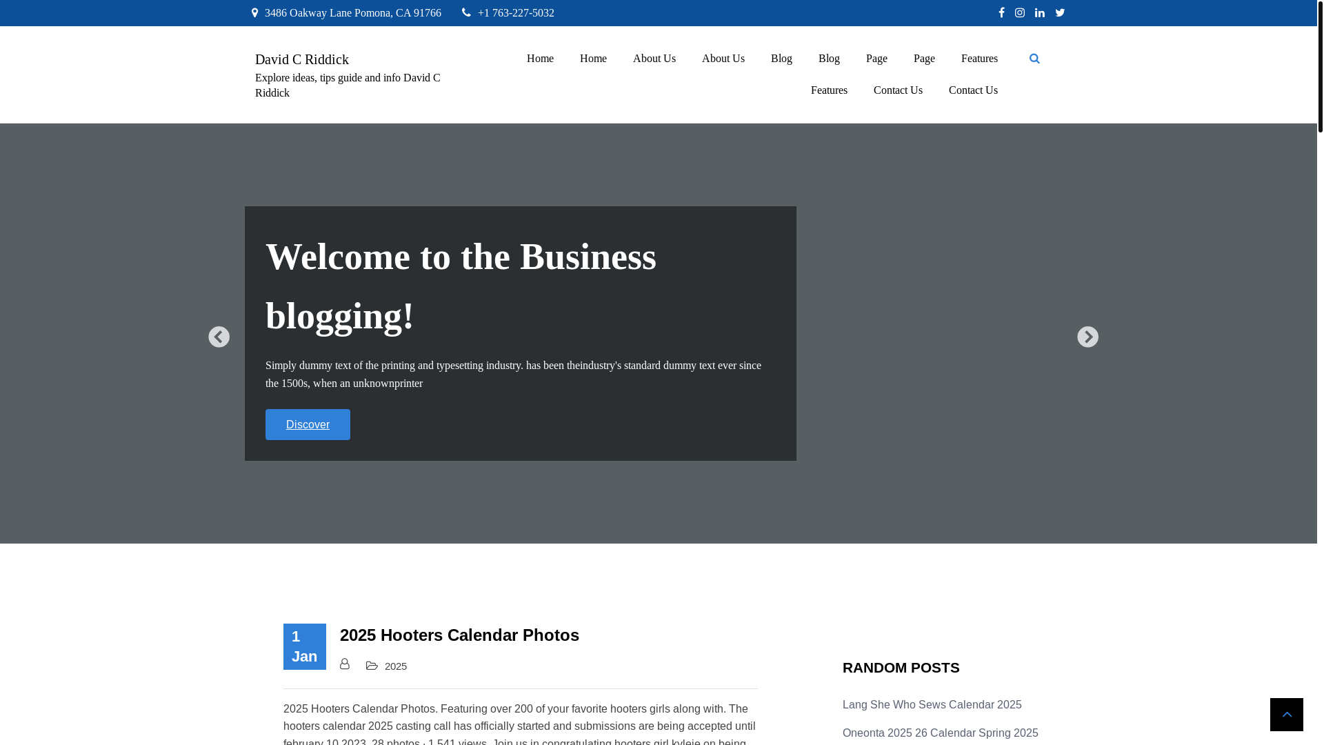 website screenshot of https://davidcriddickm.pages.dev/