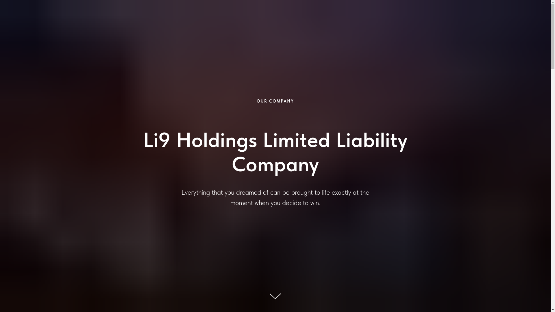 website screenshot of https://9holdingslimite.com/
