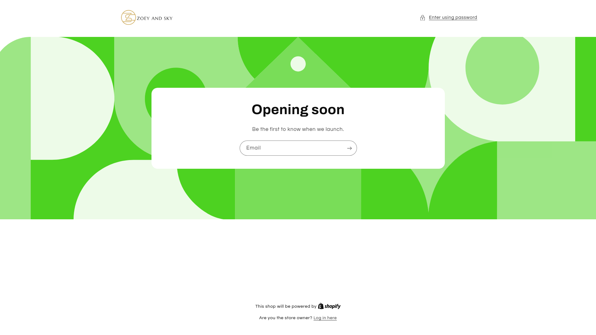 website screenshot of https://zoeyandsky.com/