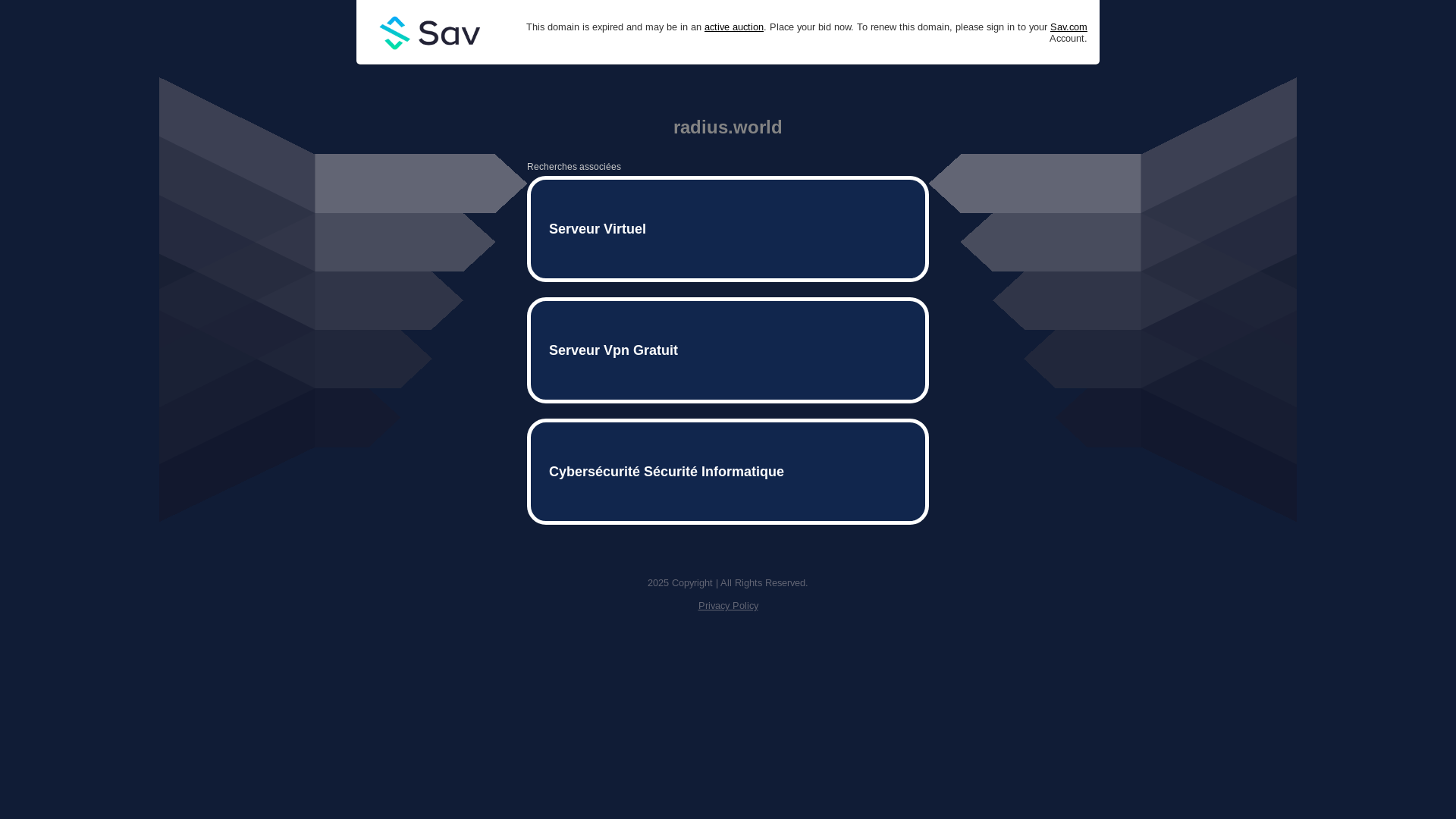 website screenshot of https://www1.radius.world