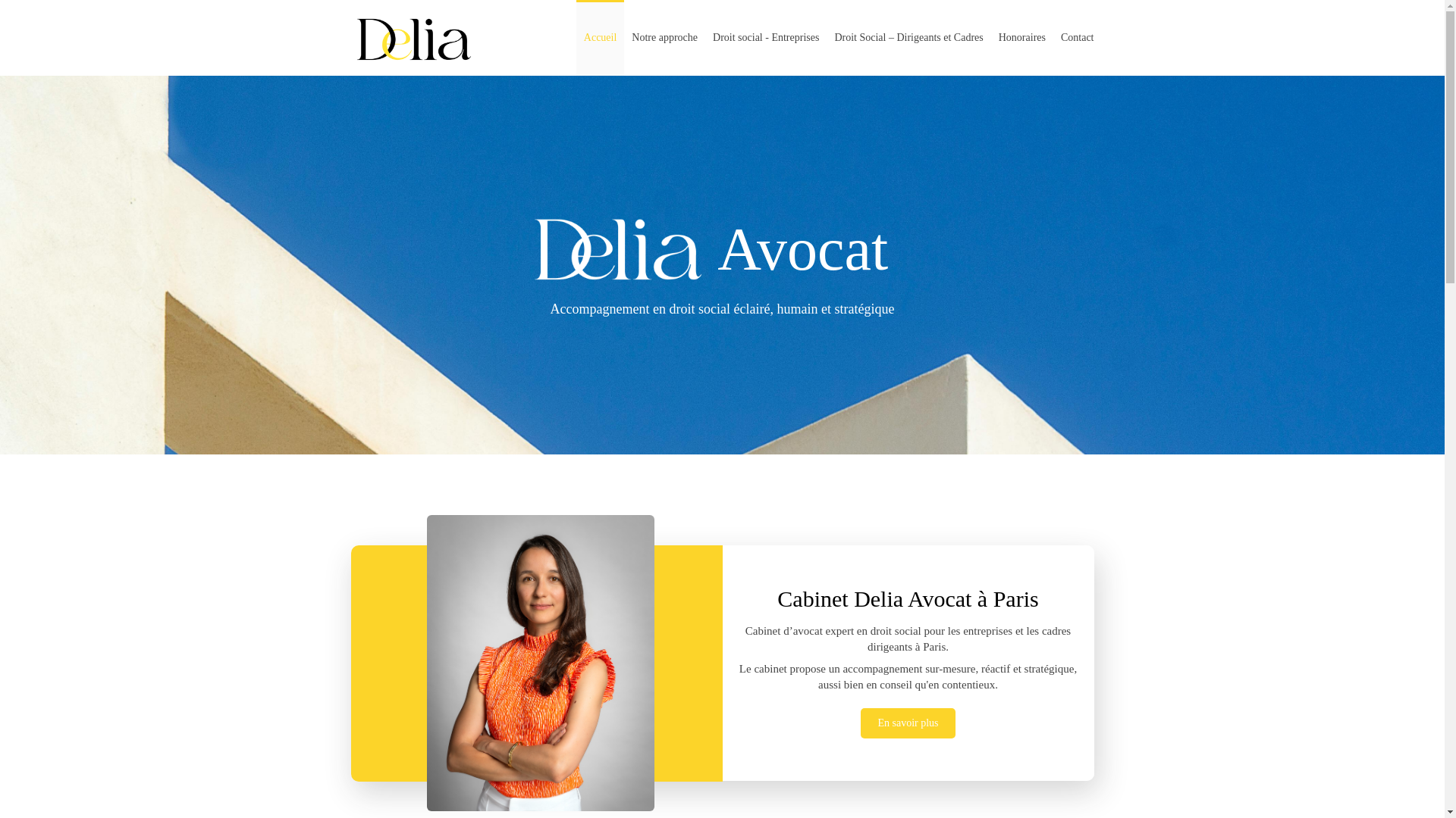 website screenshot of https://delia-avocat.fr/