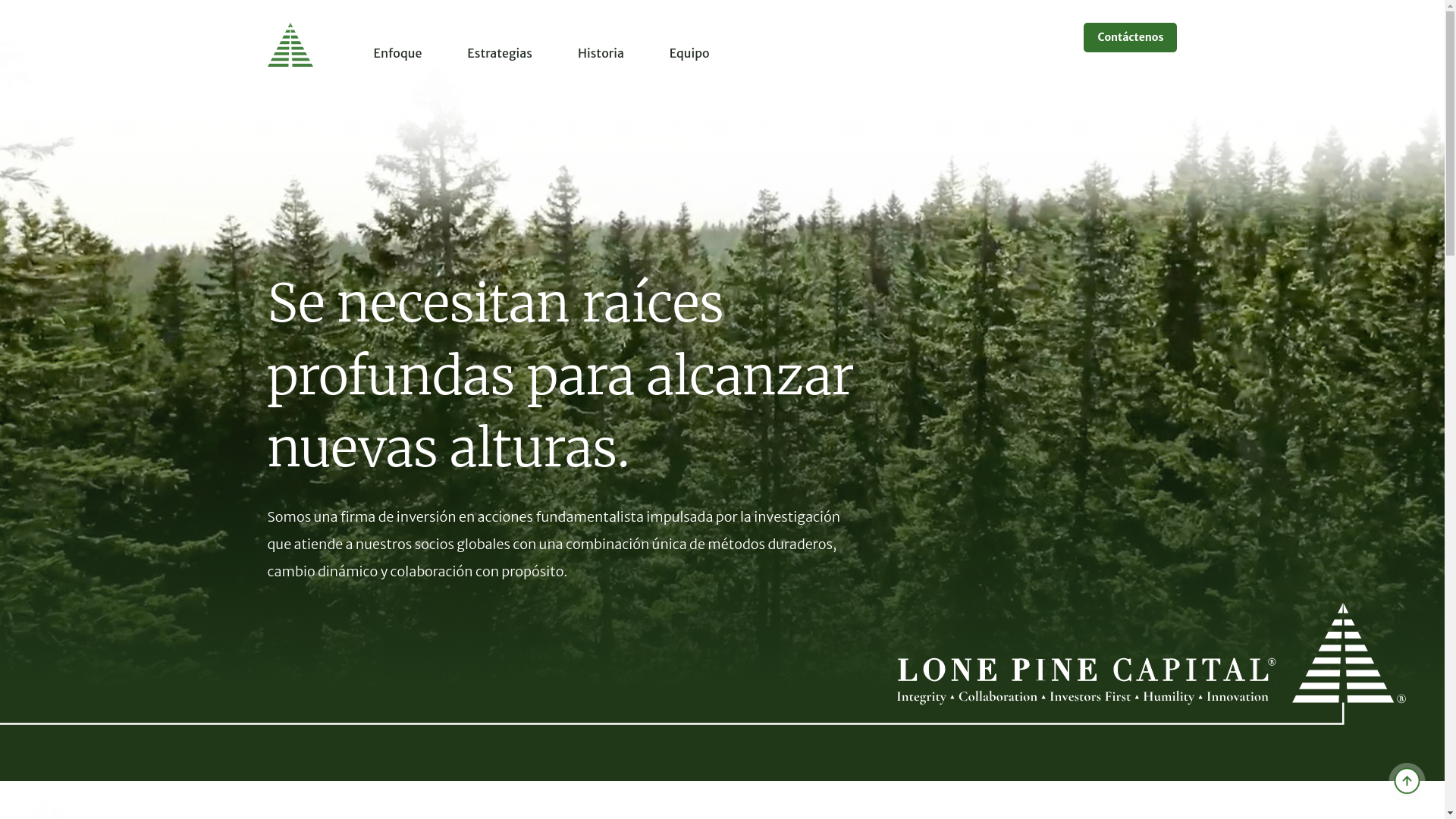 website screenshot of https://lonepinecapitwl.com/