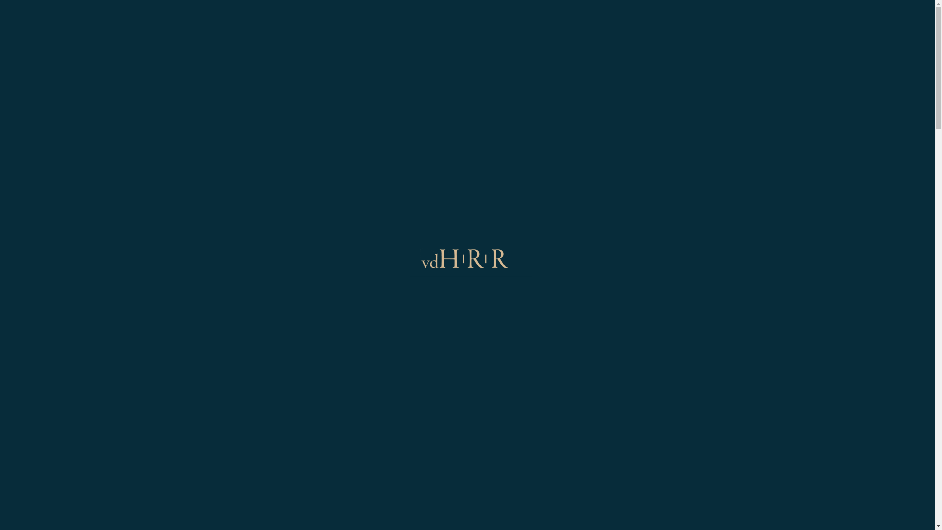 website screenshot of https://vdhrrsolutions.com/