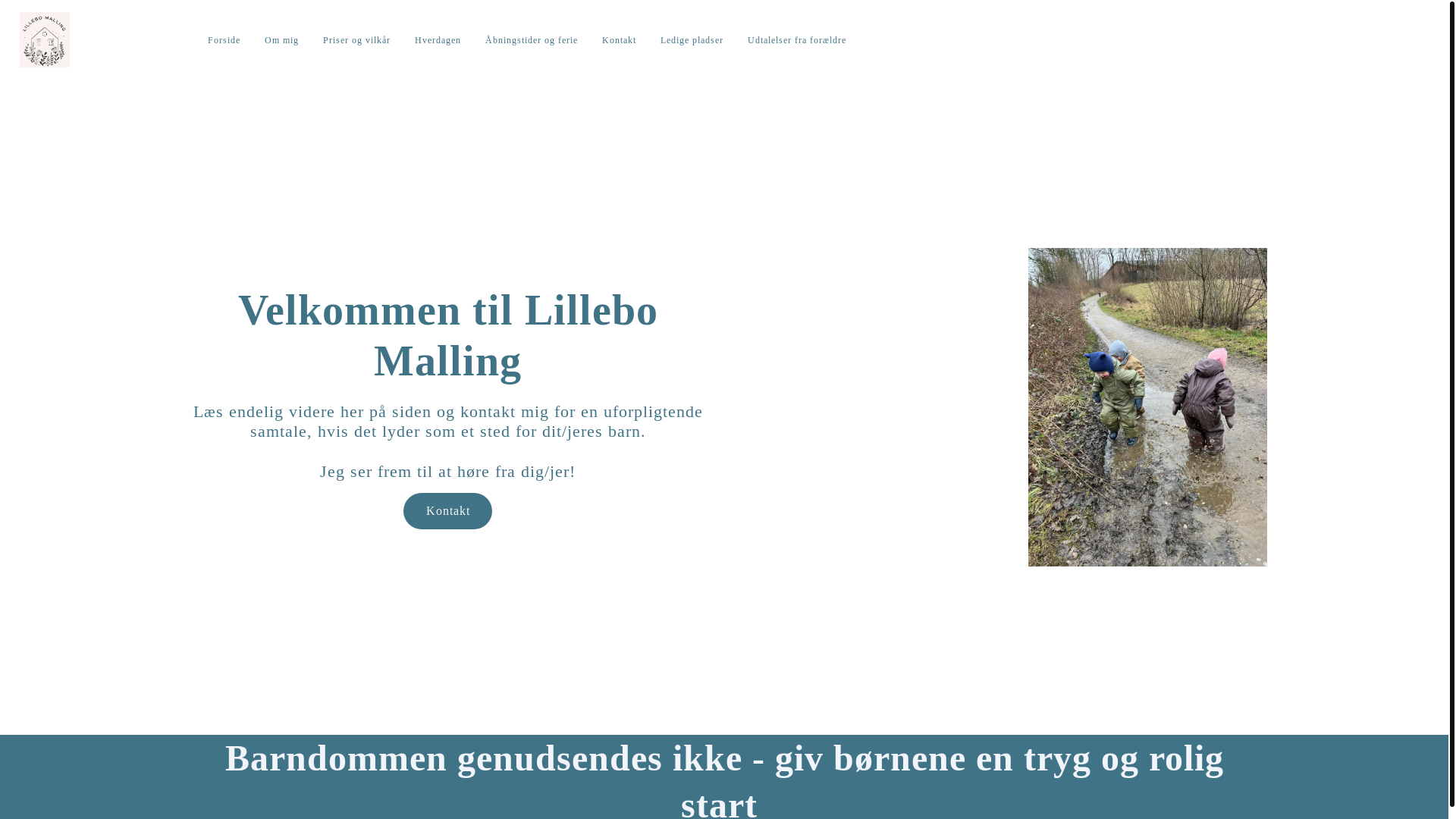 website screenshot of https://lillebomalling-privatpasningsordning.dk/
