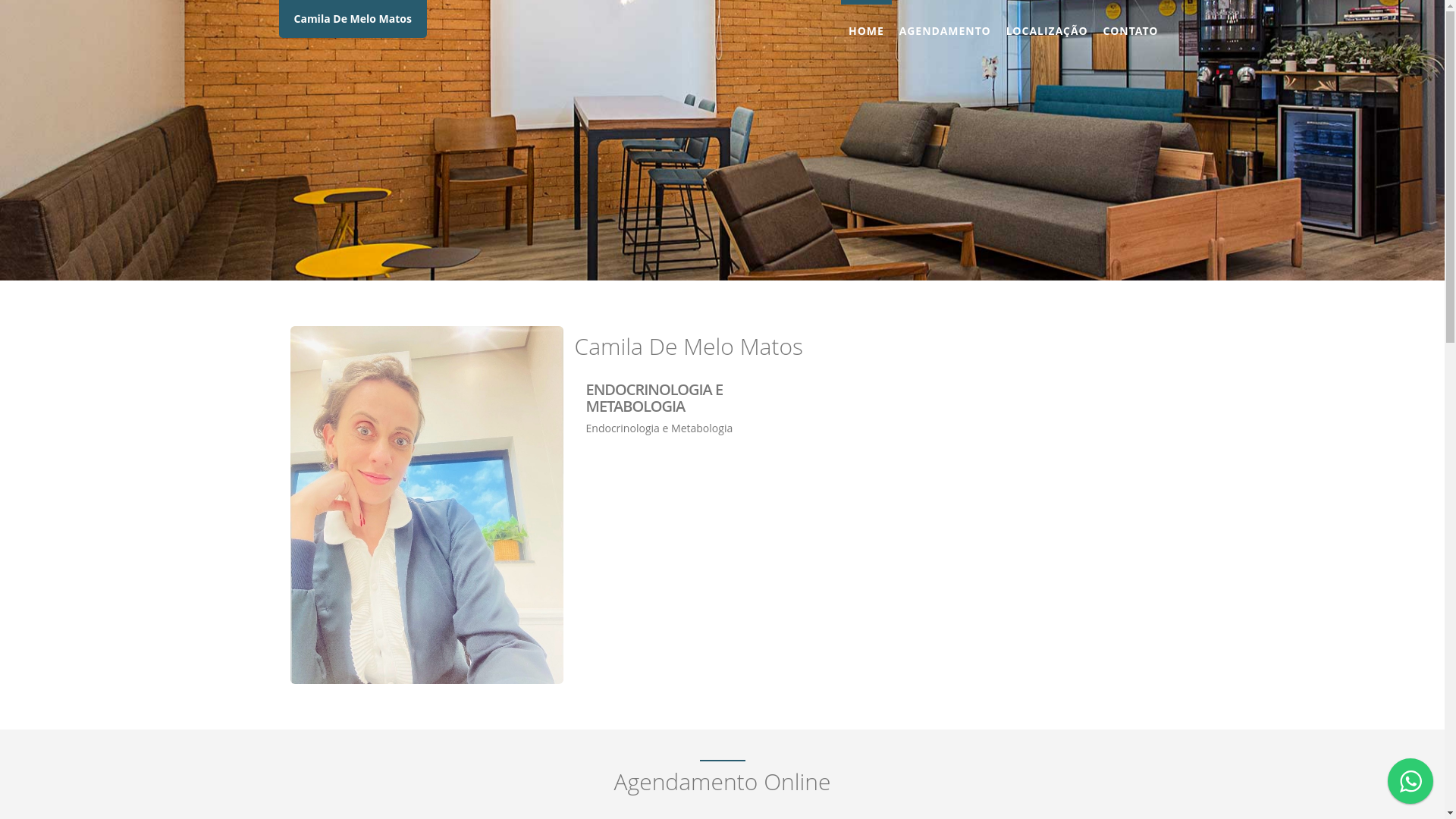 website screenshot of https://dracamilammatos.com.br/